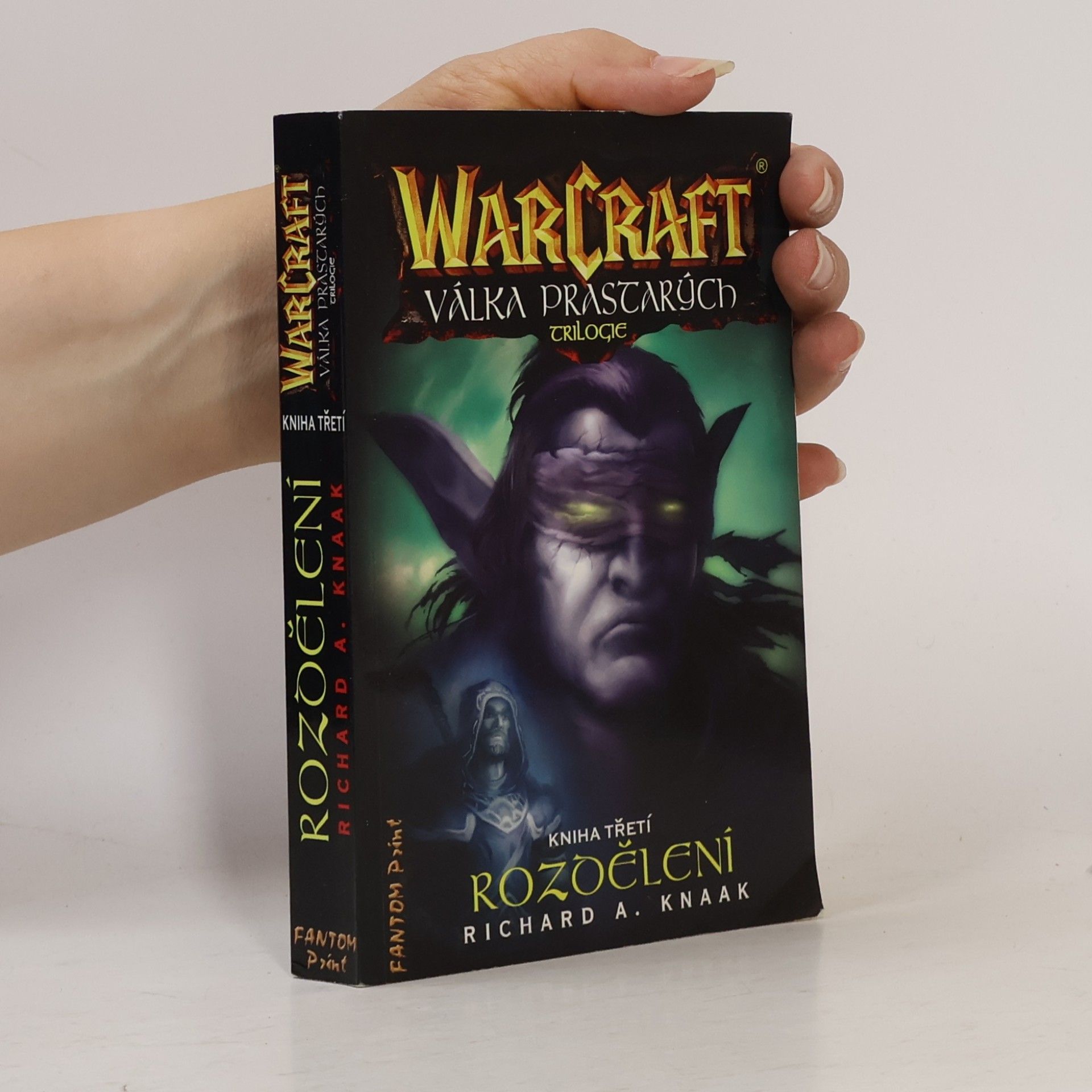 Richard A. Knaak WarCraft. Válka Prastarých 3. Rozdělení