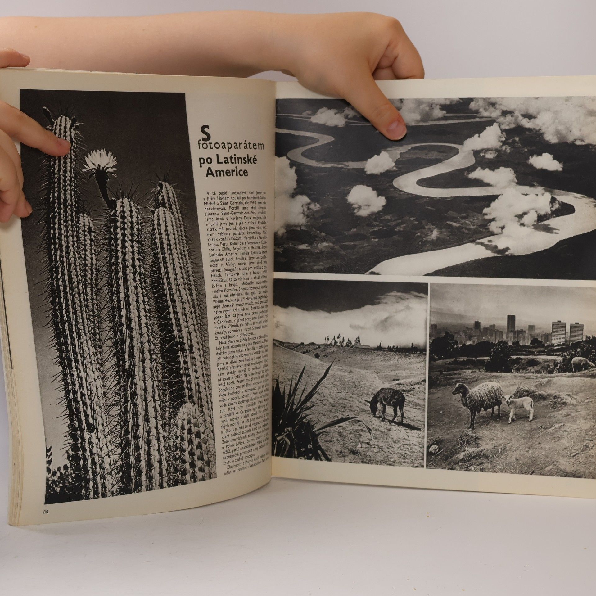 AA.VV. Fotografie 73