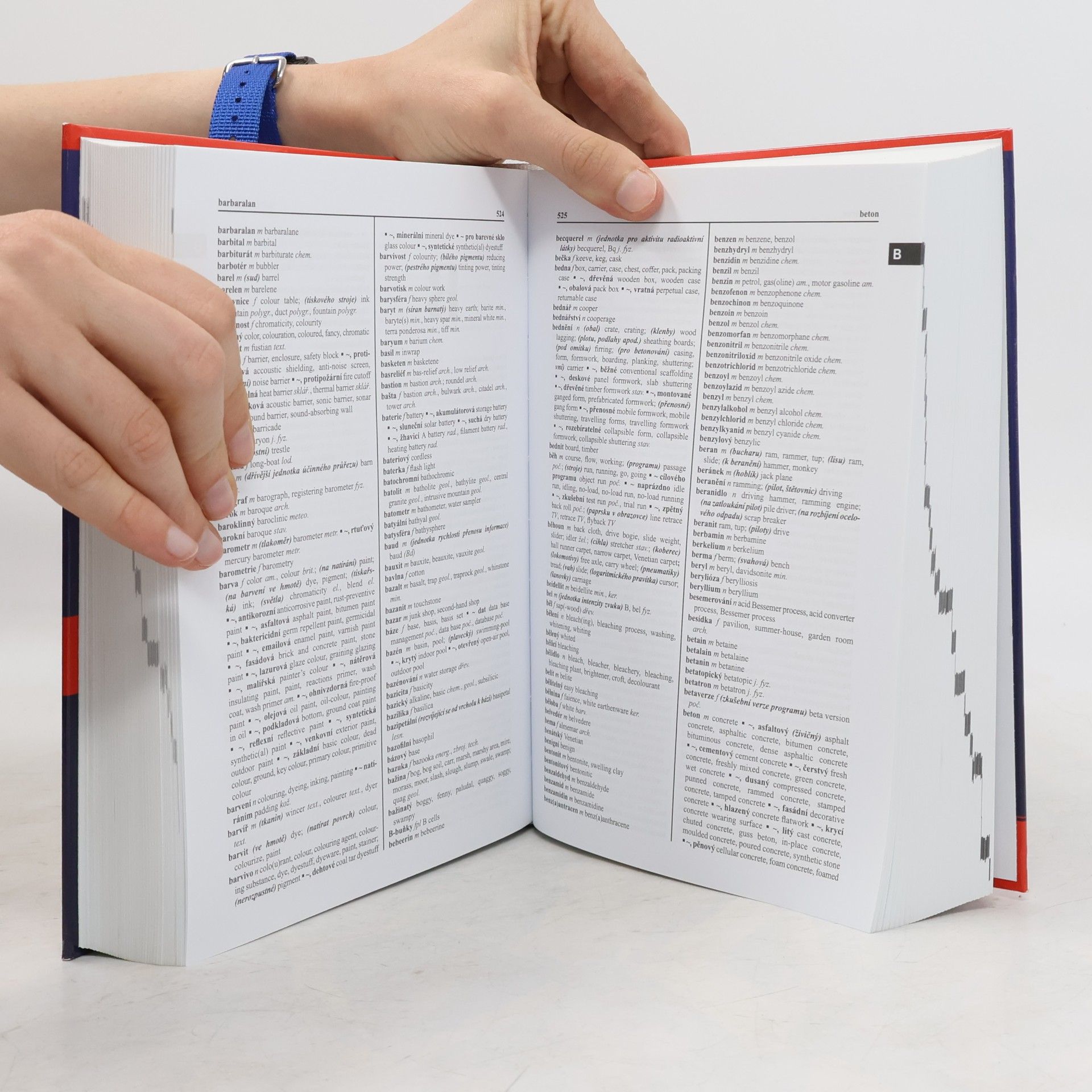 Autorenkollektiv Anglicko-český, česko-anglický multioborový slovník