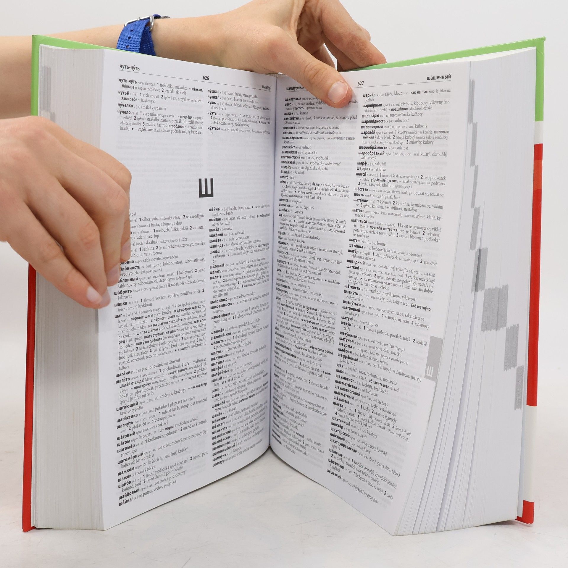 Autorenkollektiv Rusko-český, česko-ruský velký slovník