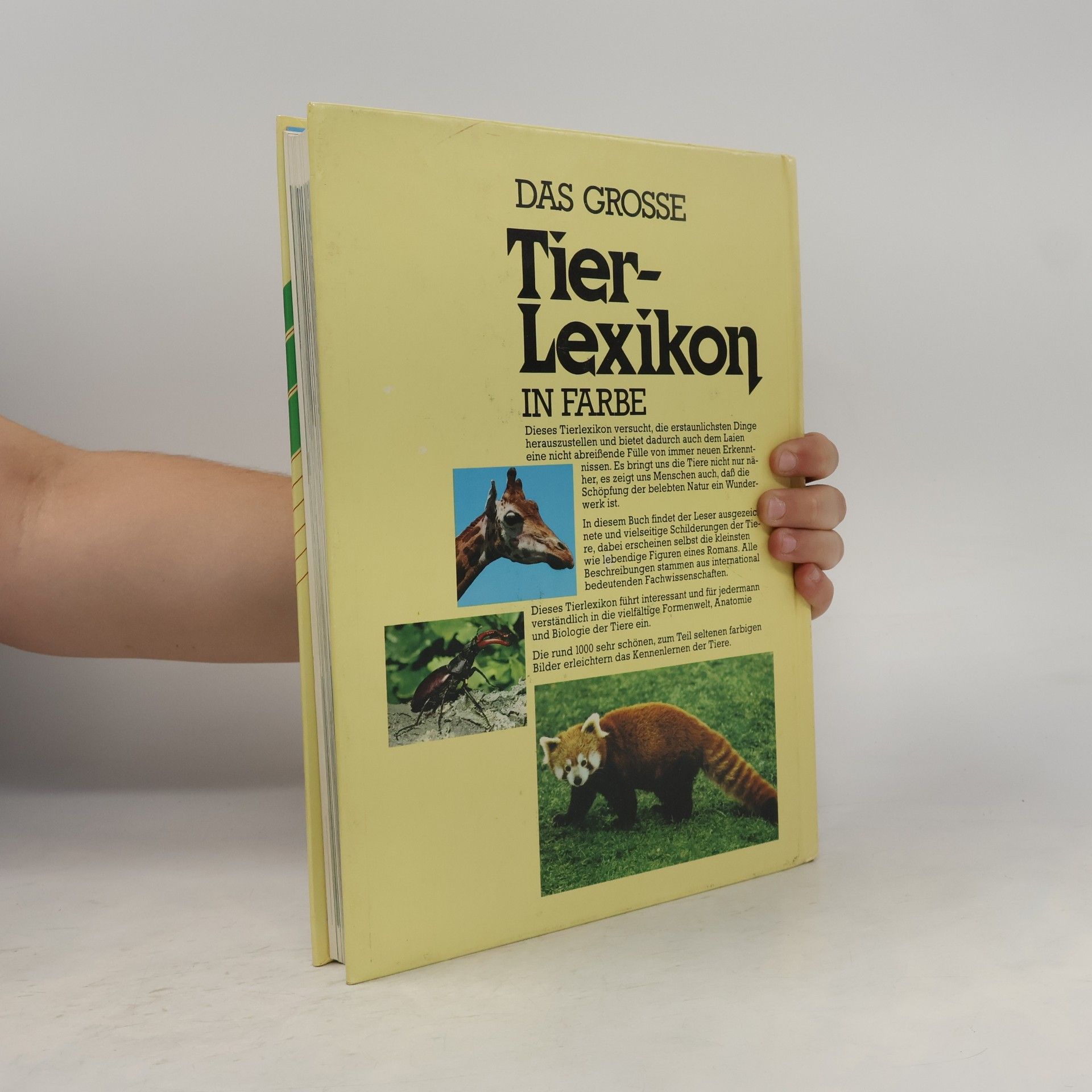 Maurice Burton Tier-Lexikon in Farbe