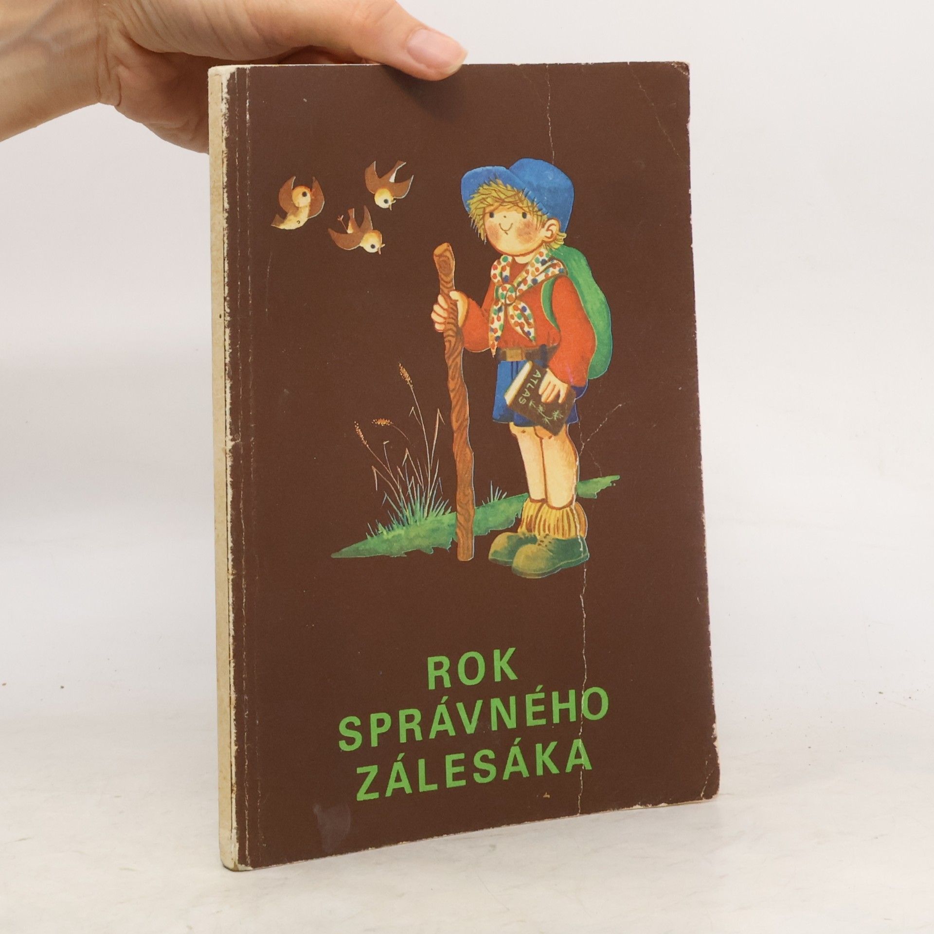 Kolektiv autorů Rok správného zálesáka