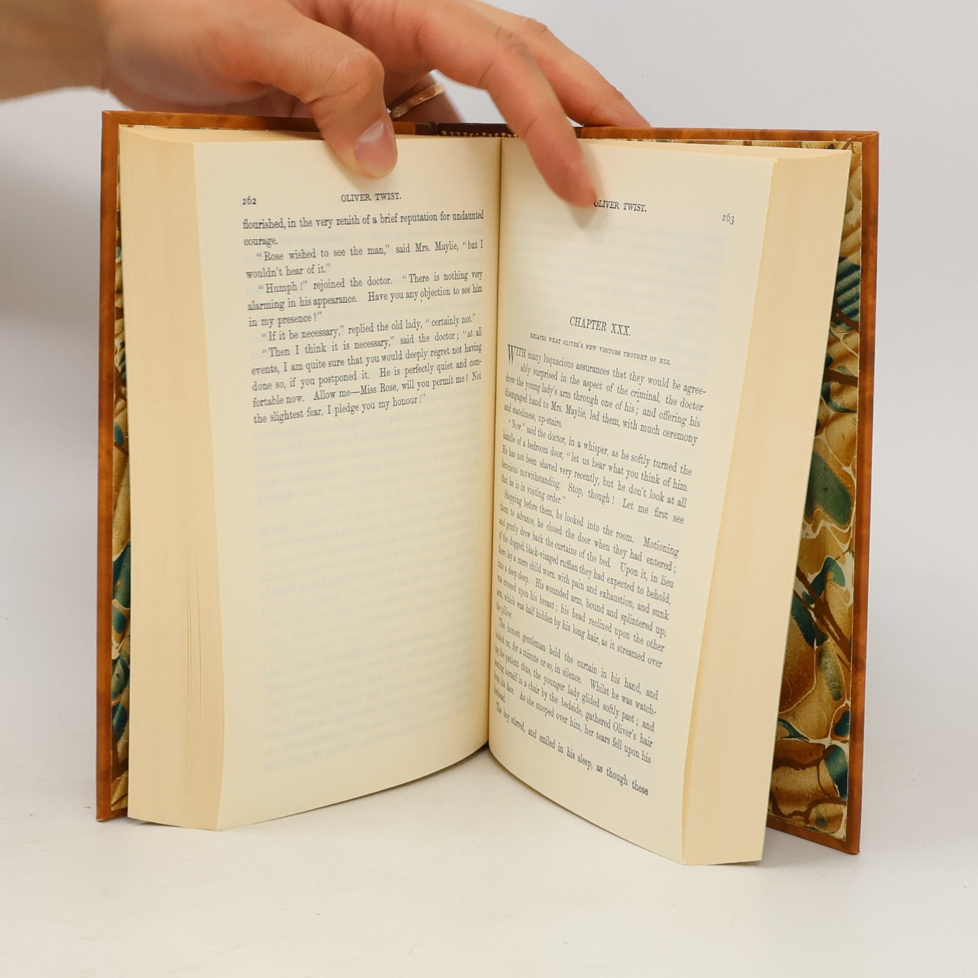 Charles Dickens The Adventure of Oliver Twist