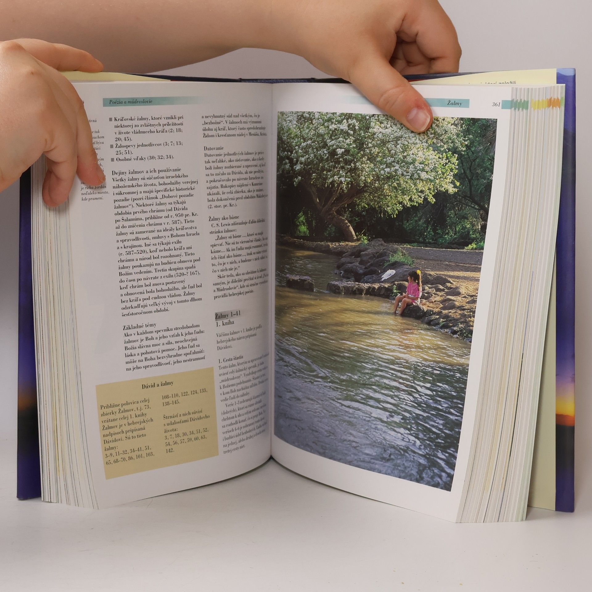 Pat Alexander Ilustrovaná príručka k Biblii