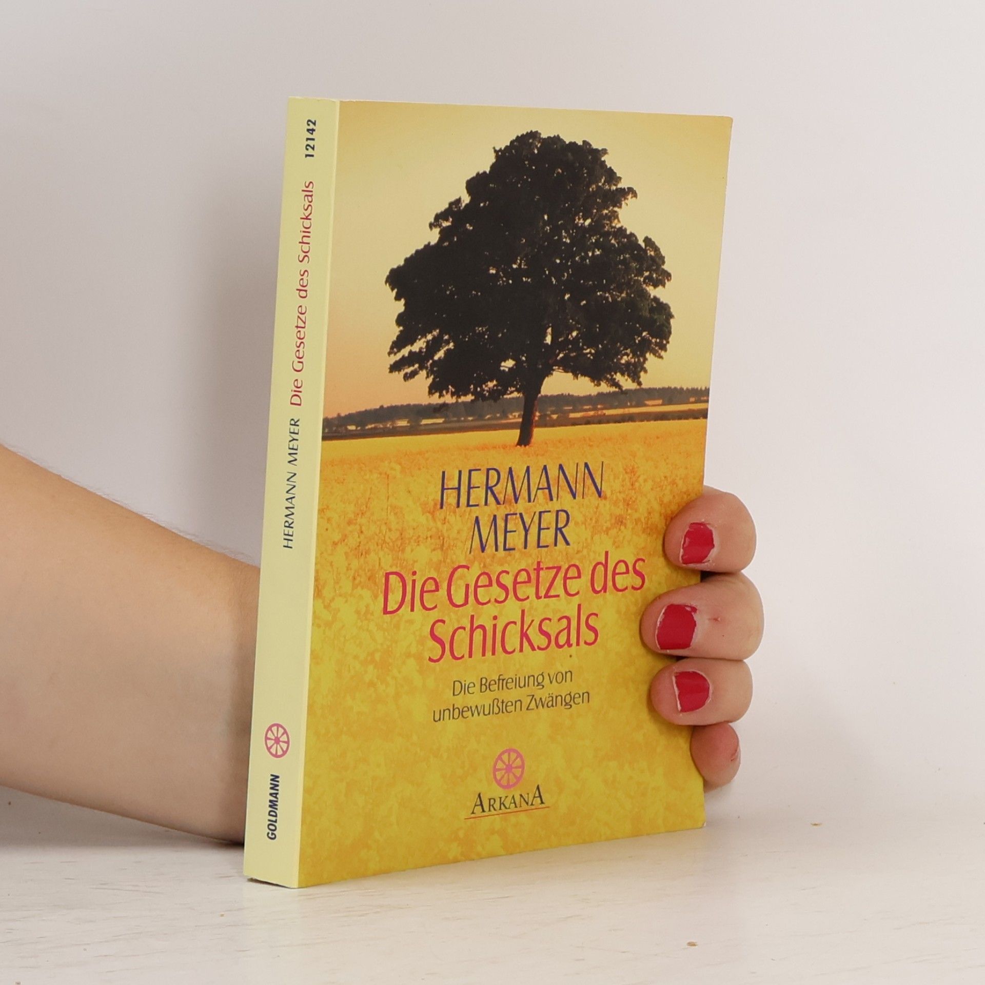 Herman Meyer Die Gesetze des Schicksals
