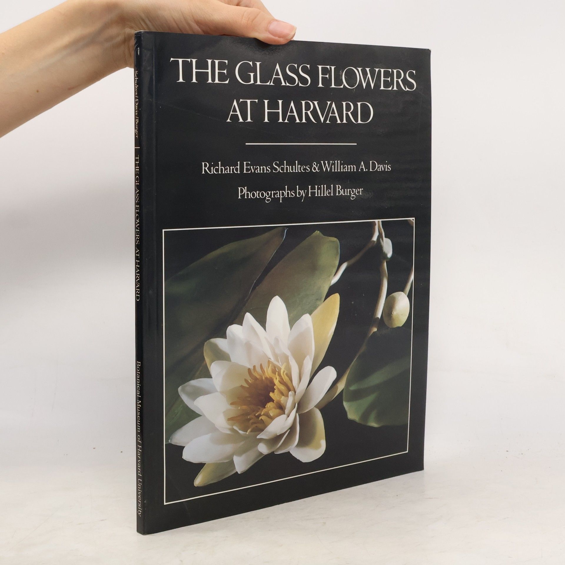 Hillel Burger The Glass Flowers at Harvard