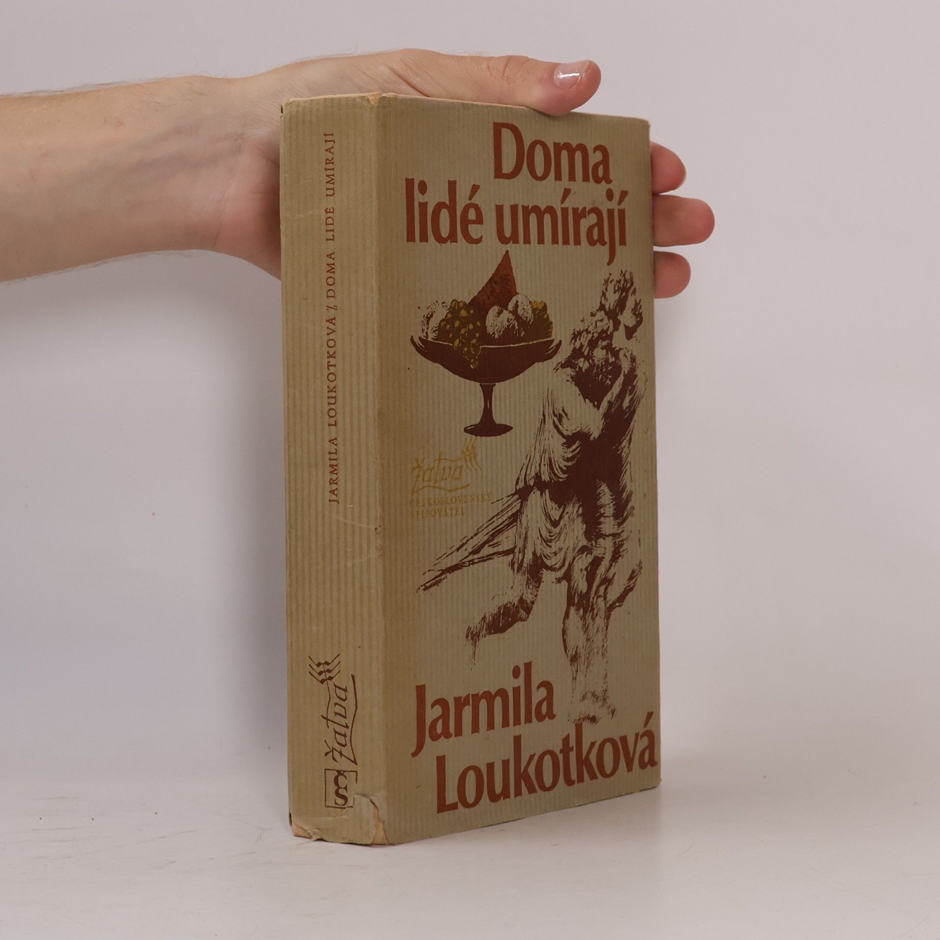 Jarmila Loukotková Doma lidé umírají
