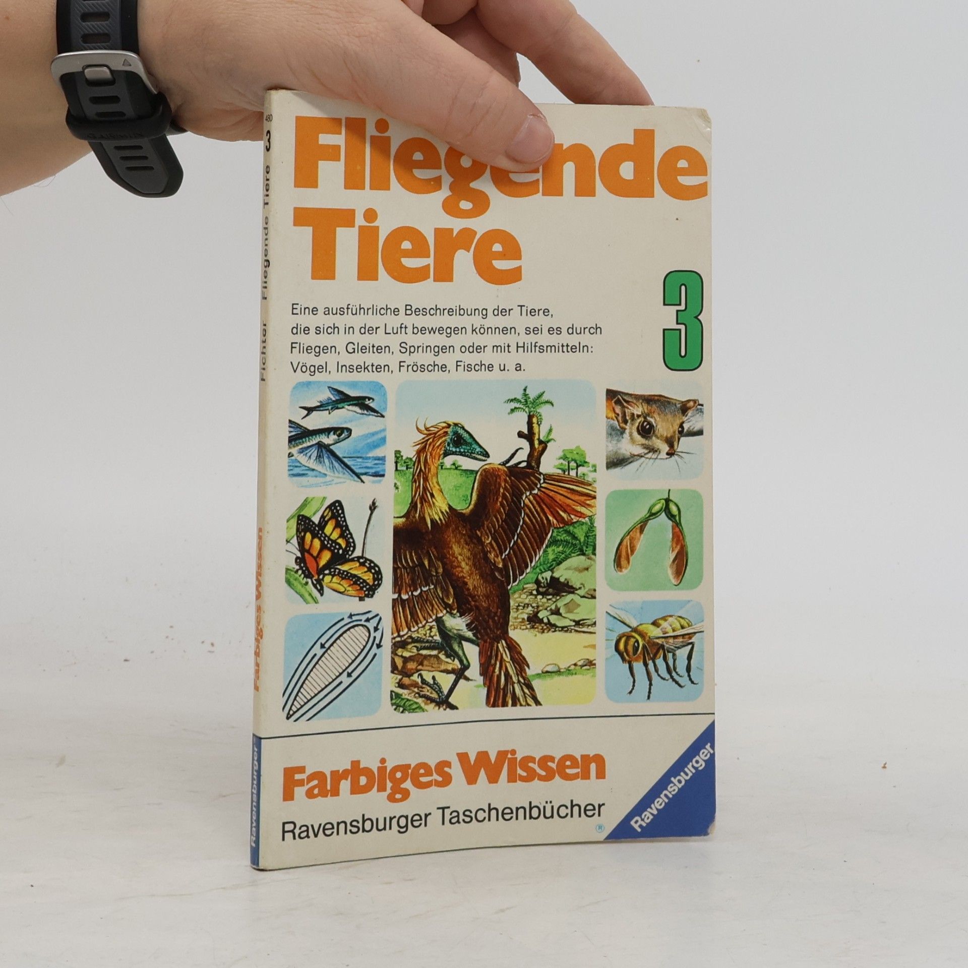 Autorenkollektiv Fliegende Tiere