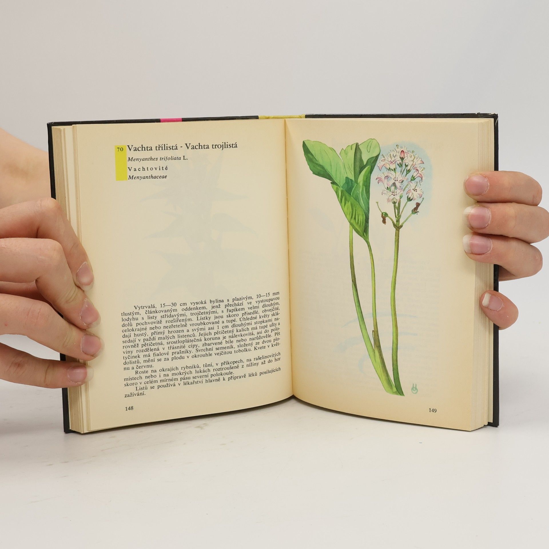 Otto Ušák Kapesní atlas rostlin
