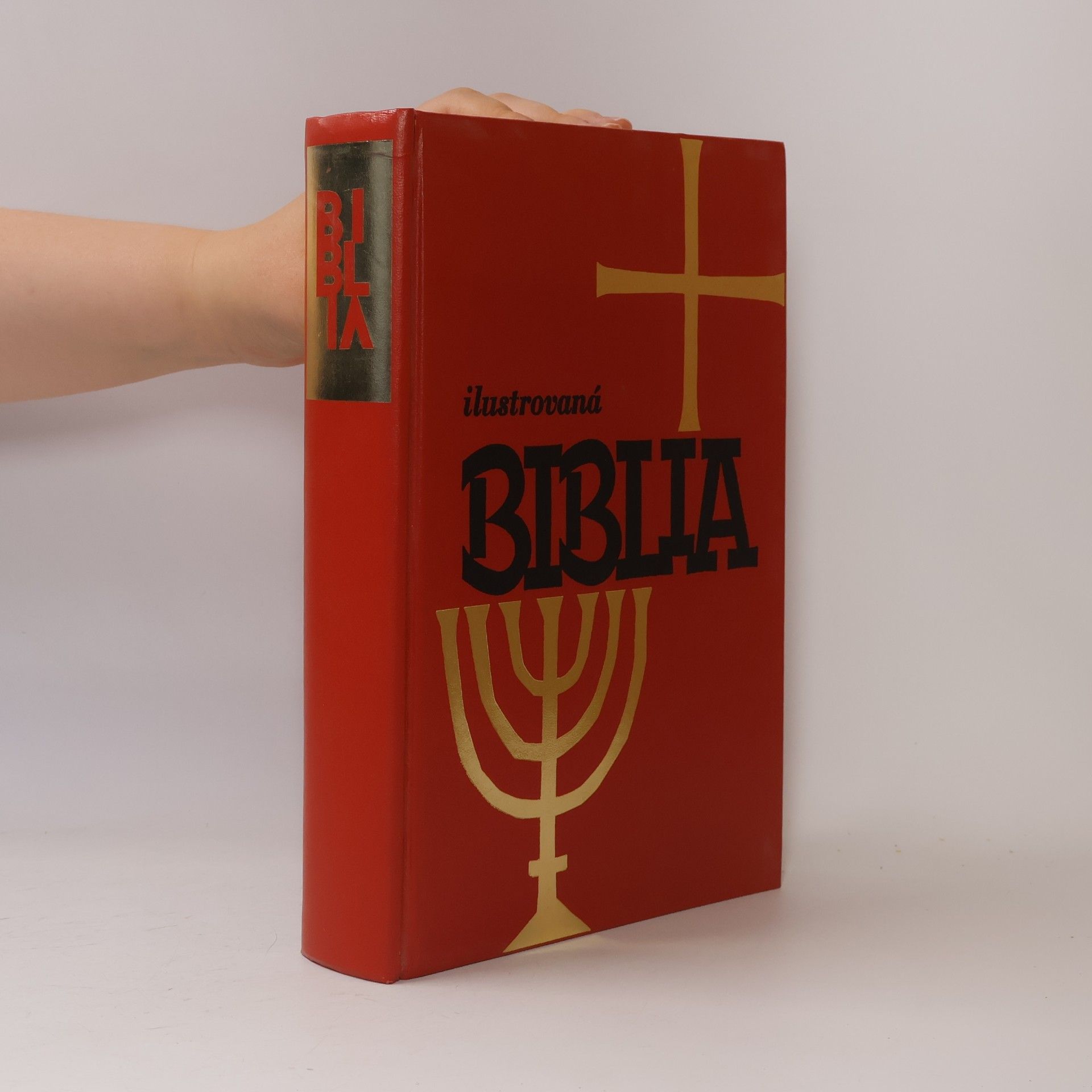 Collectif d'auteurs Ilustrovaná Biblia