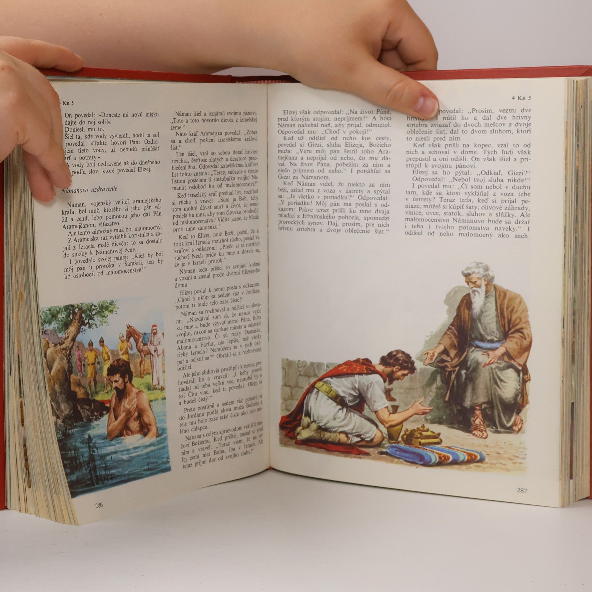 Collectif d'auteurs Ilustrovaná Biblia