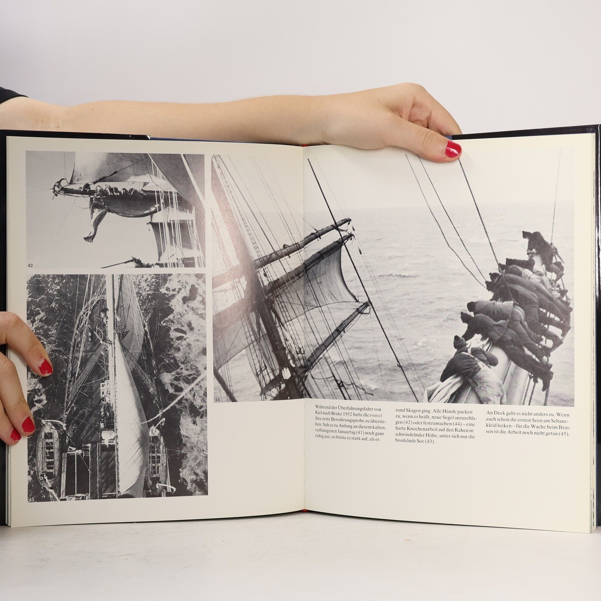 Hans Domizlaff Das grosse Buch der Passat