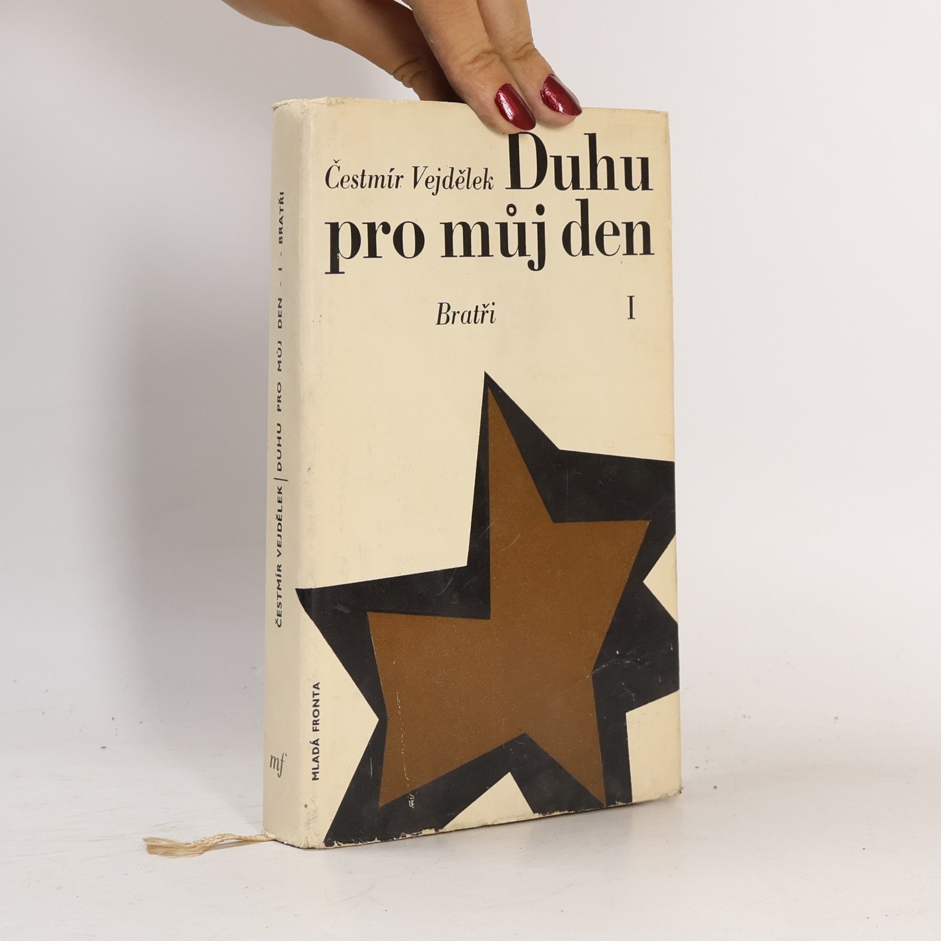 Čestmír Vejdělek Duhu pro můj den I. - Bratři