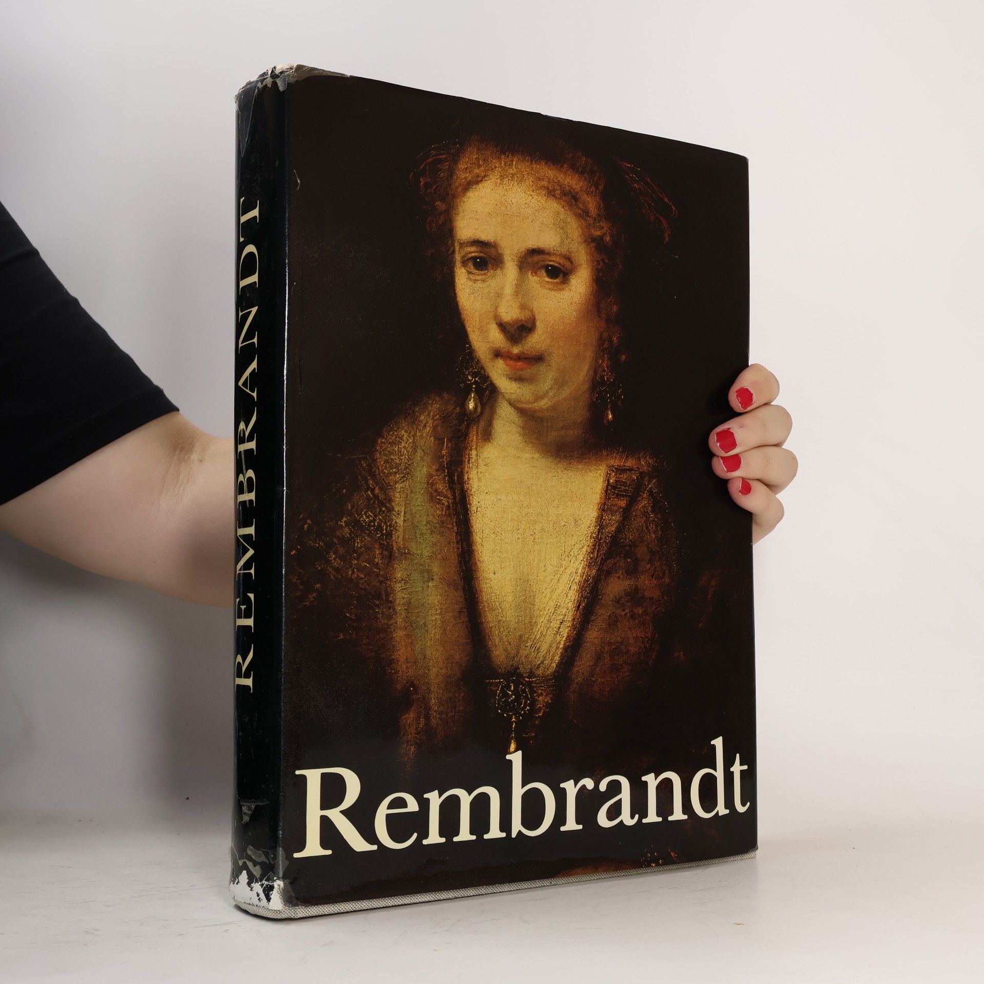 Kolektiv autorů Rembrandt