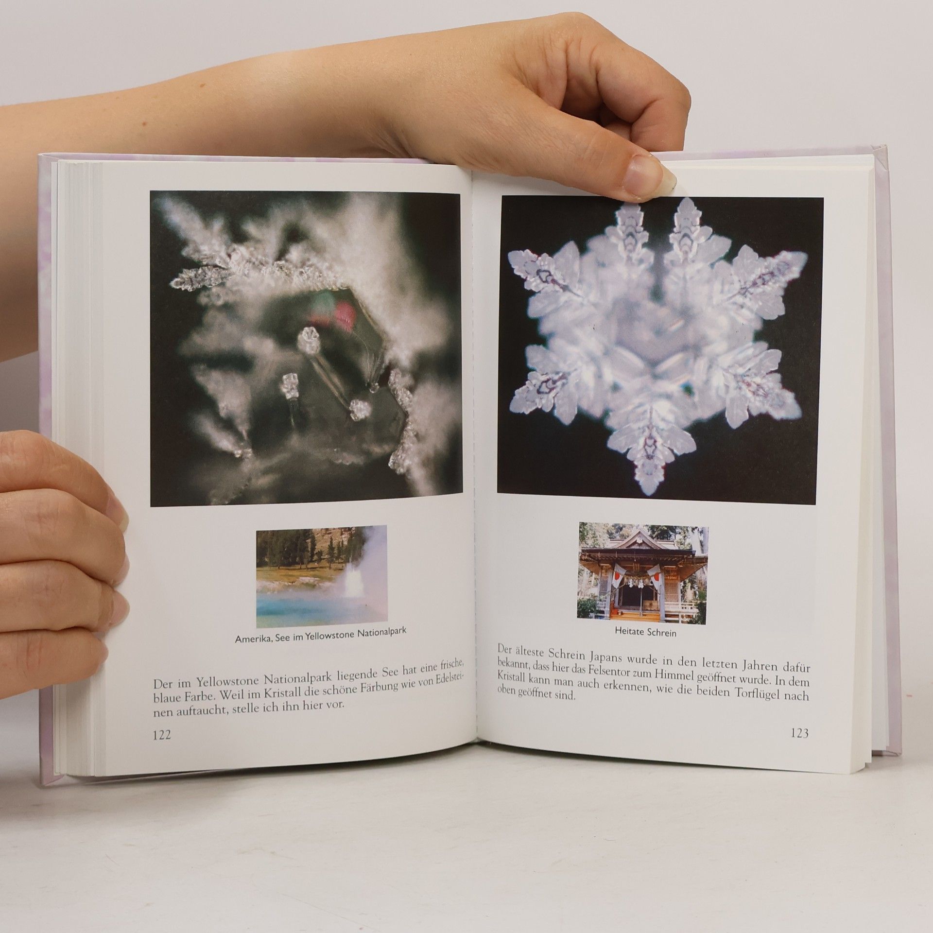Masaru Emoto Die Antwort des Wassers. Band 1
