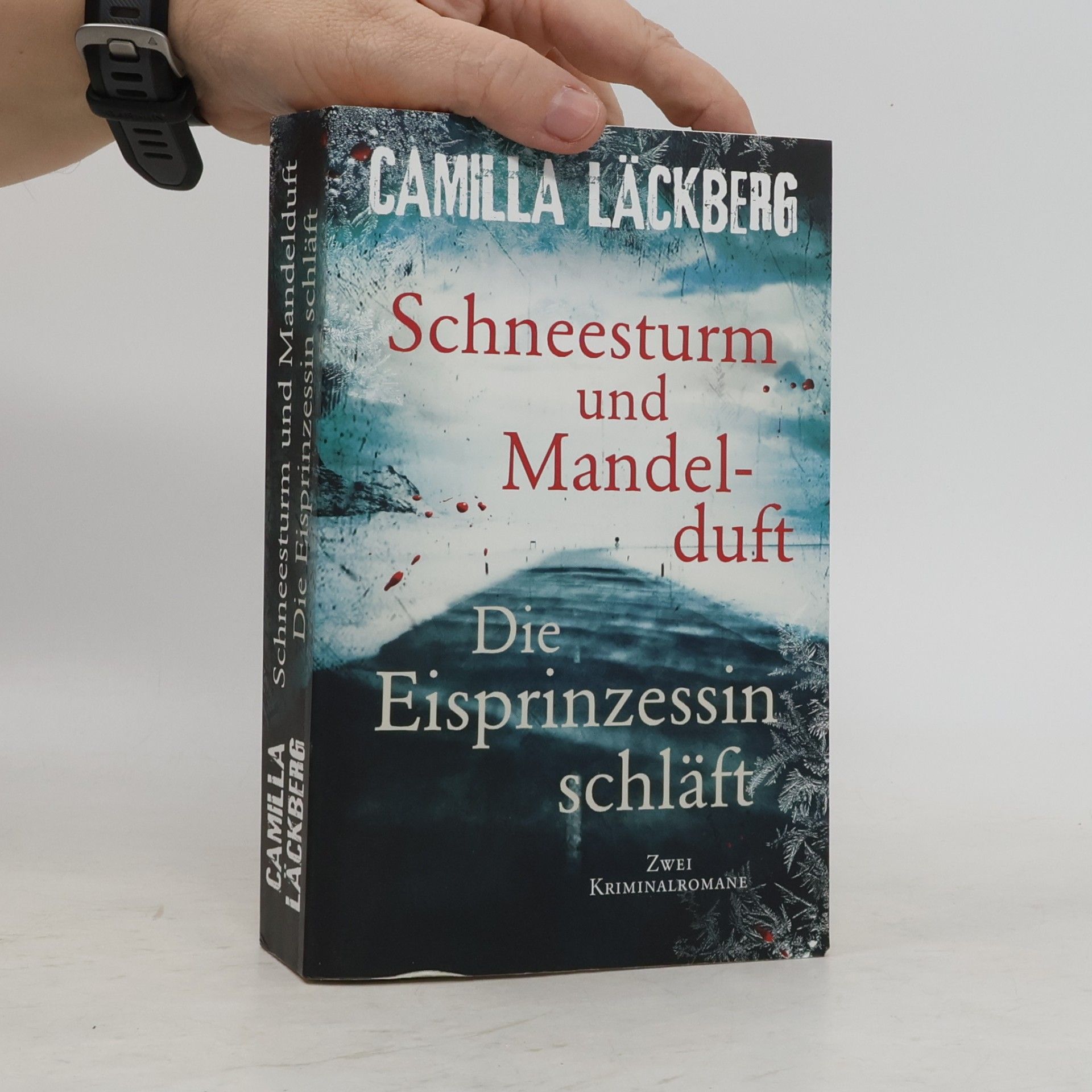 Camilla Läckberg Schneesturm und Mandelduft. Die Eisprinzessin schläft
