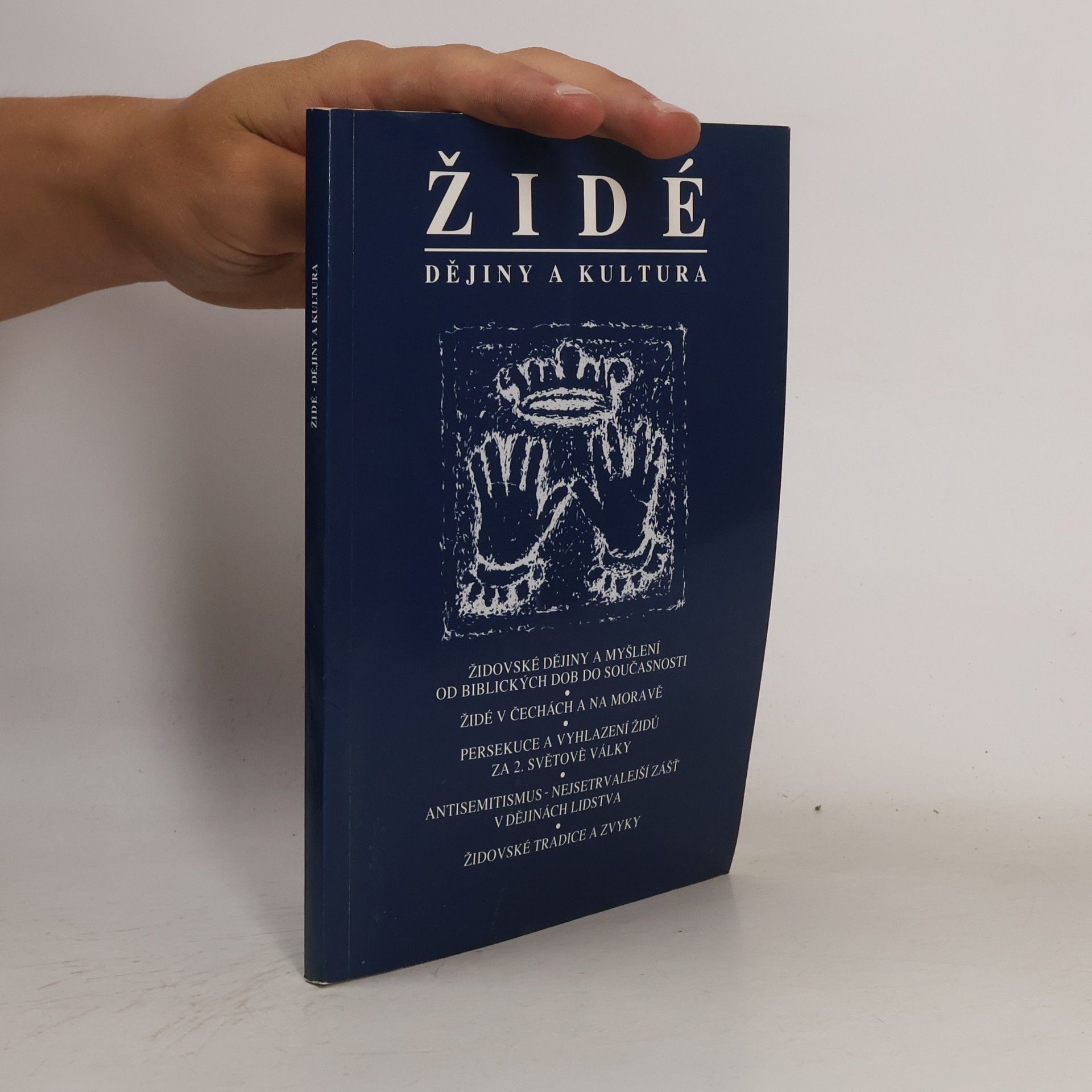 Autorenkollektiv Židé - dějiny a kultura