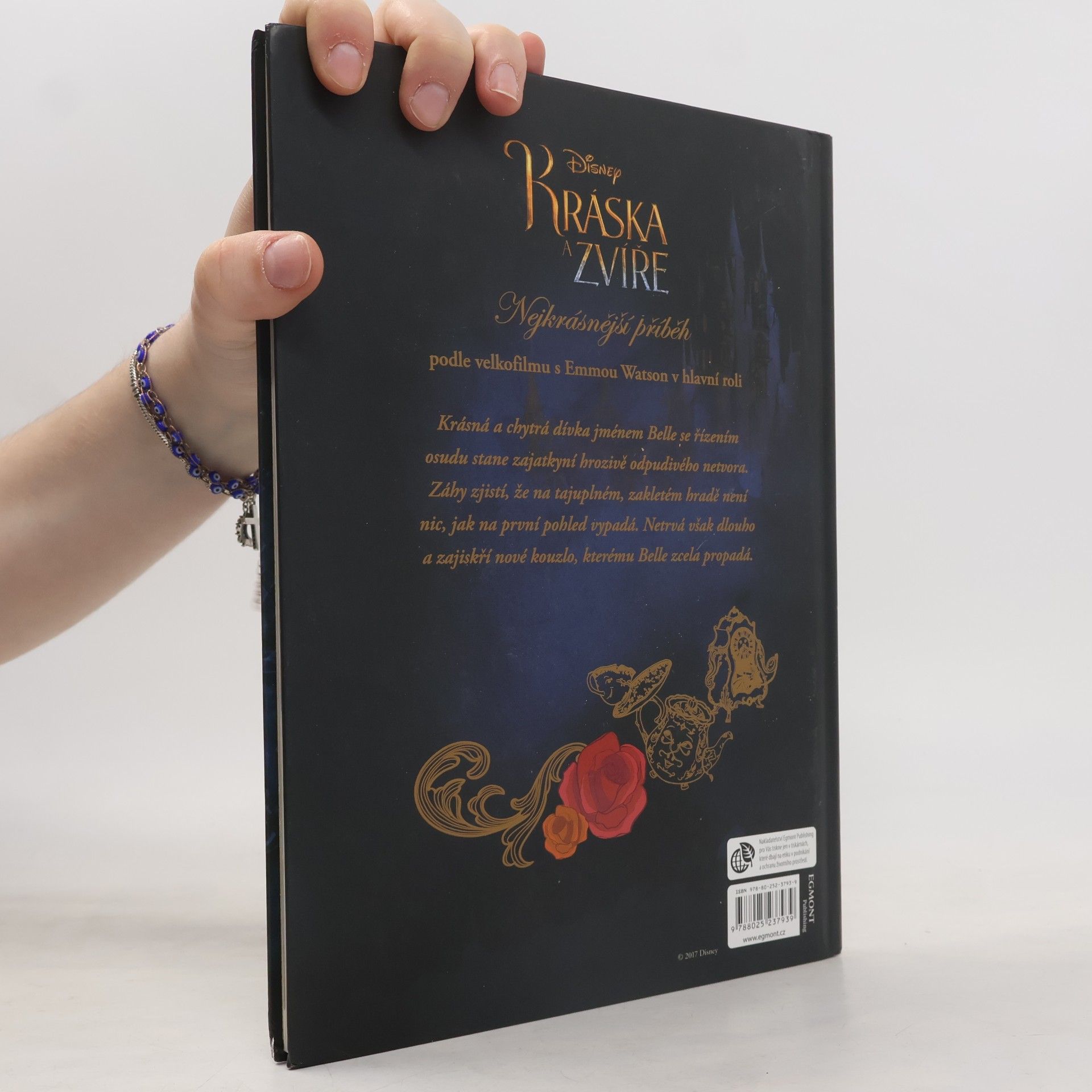 Collectif d'auteurs Kráska a zvíře