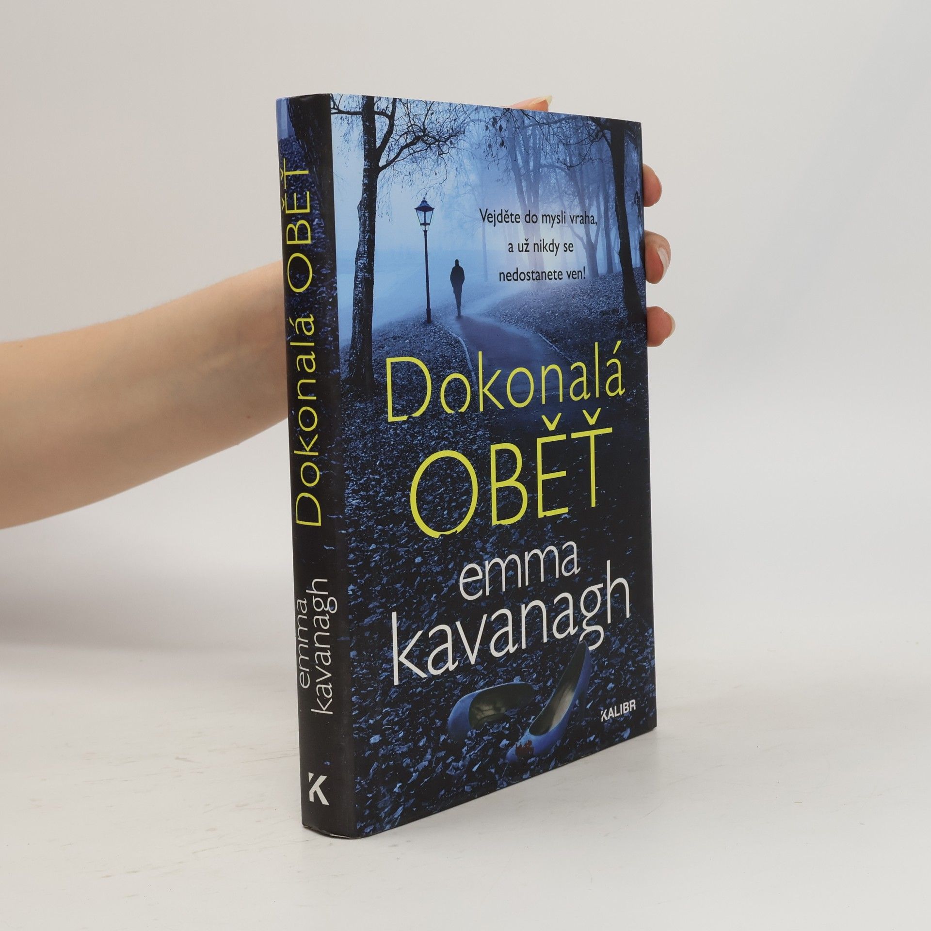 Emma Kavanagh Dokonalá oběť
