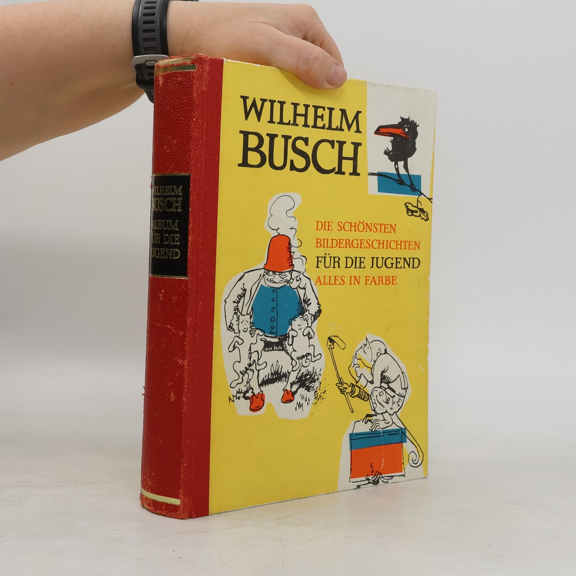 Die schönsten Bildergeschichten für die Jugend