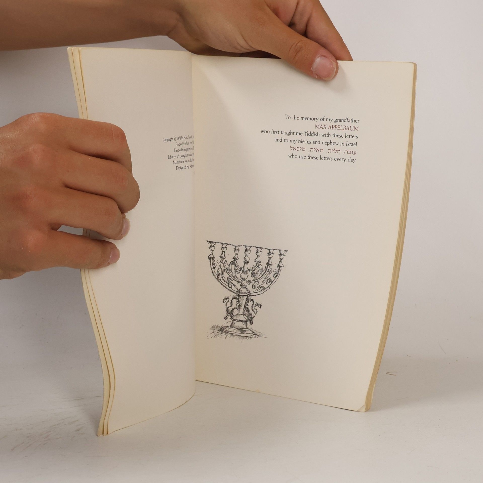 Mark Podwal A Book of Hebrew Letters