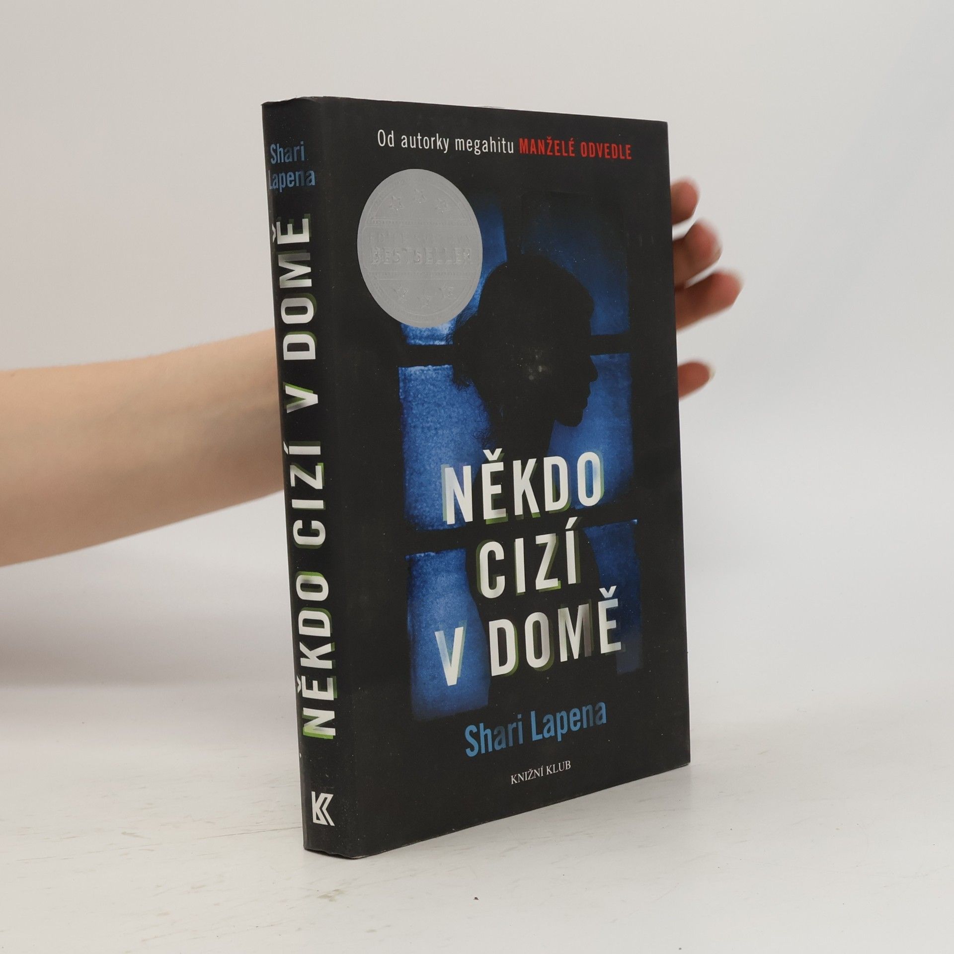 Shari Lapenová Někdo cizí v domě