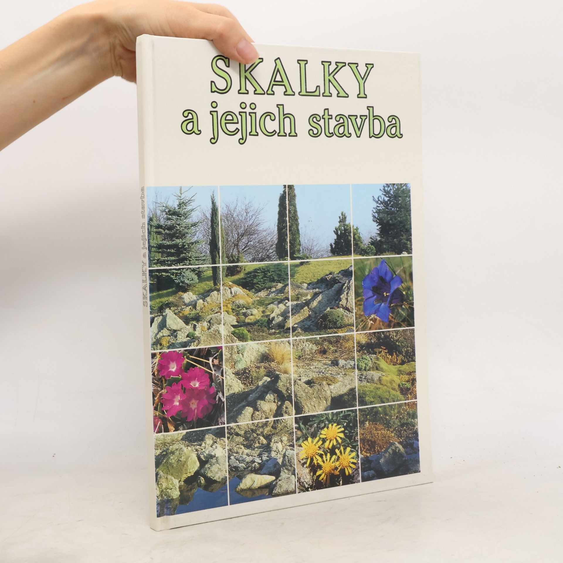 Ota Vlasák Skalky a jejich stavba