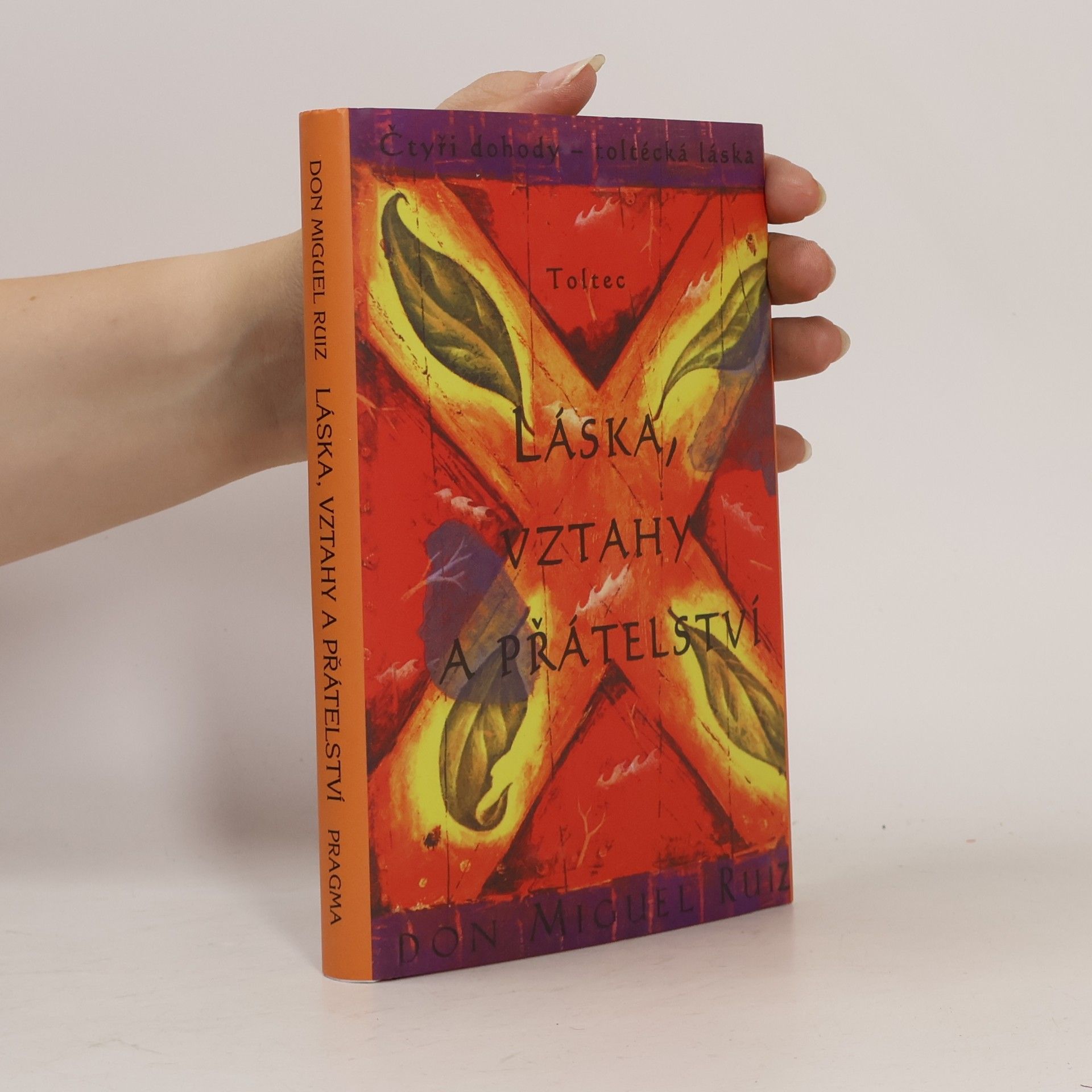 Don Miguel Ruiz Láska, vztahy a přátelství