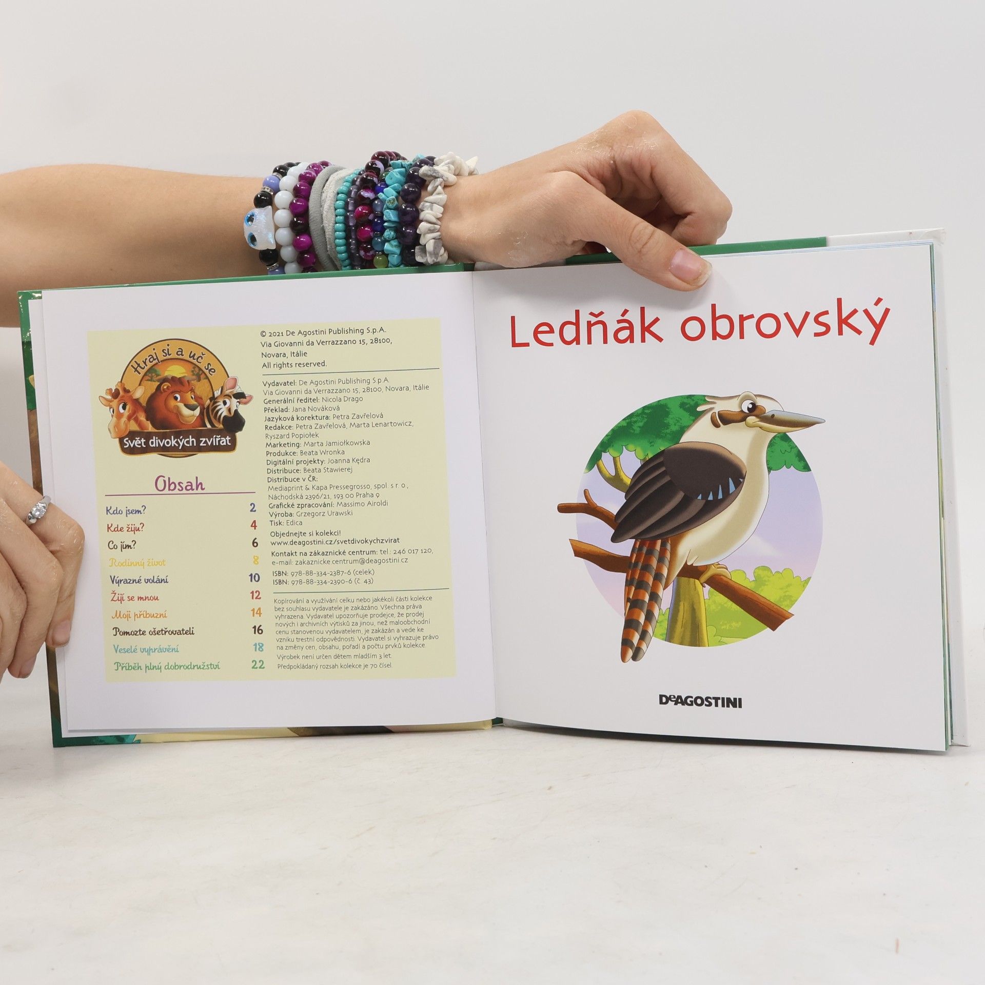 Various authors Bydlím v lese 43. Ledňák obrovský