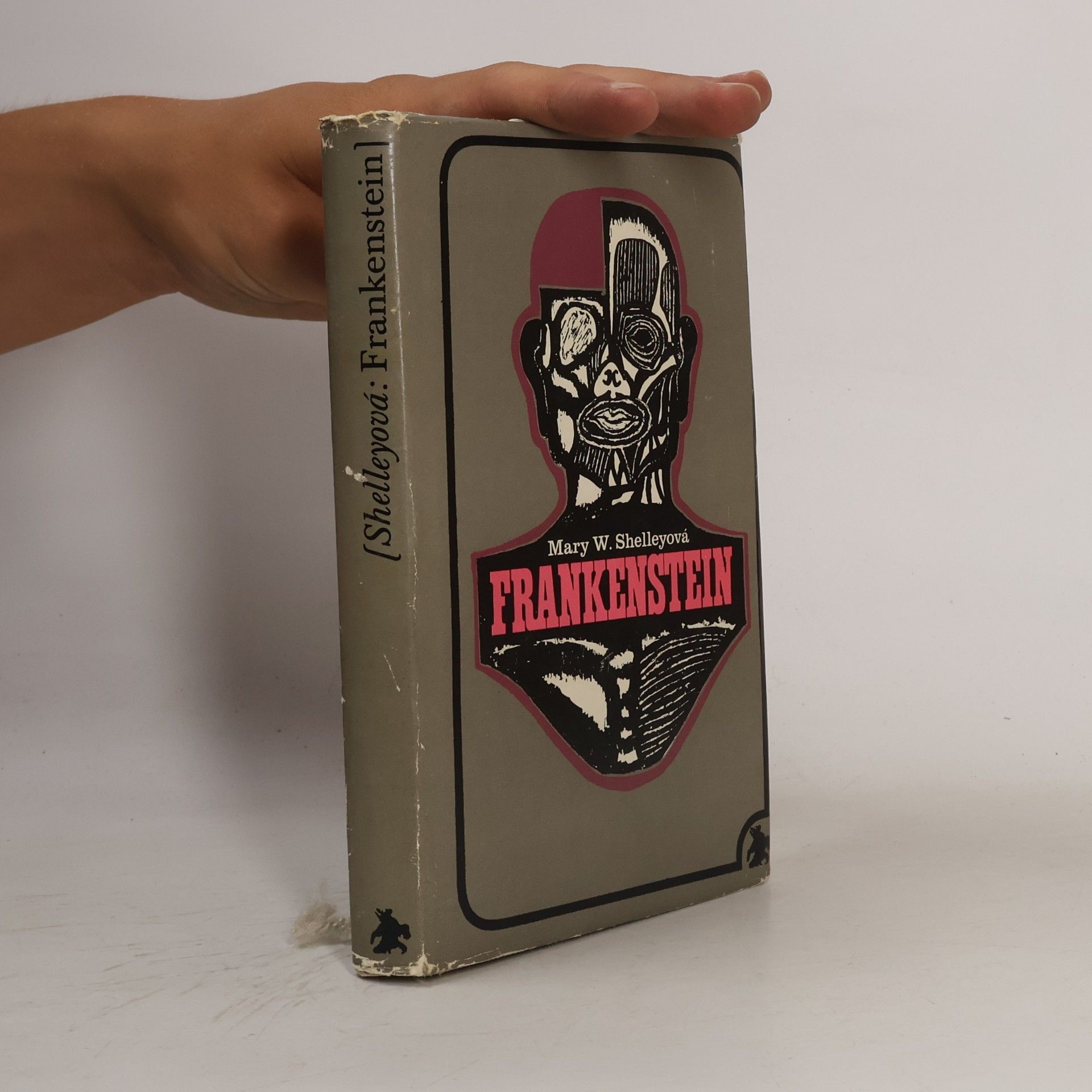 Mary Shelley Frankenstein