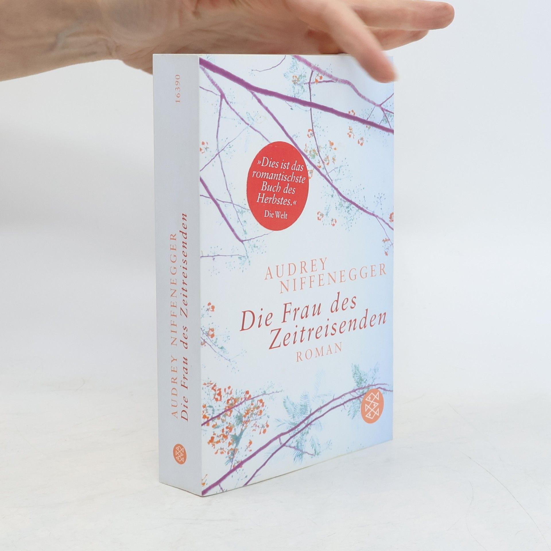 Audrey Niffenegger Die Frau des Zeitreisenden