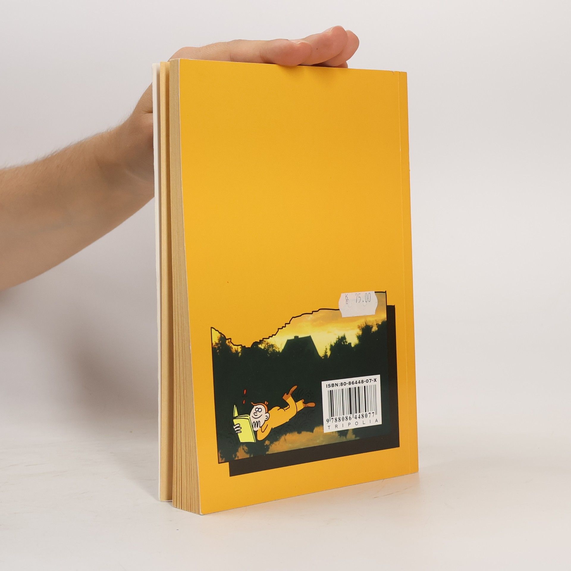 Věra Martinková Literatura 3 : [dějiny literatury pro 3. ročník středních škol]