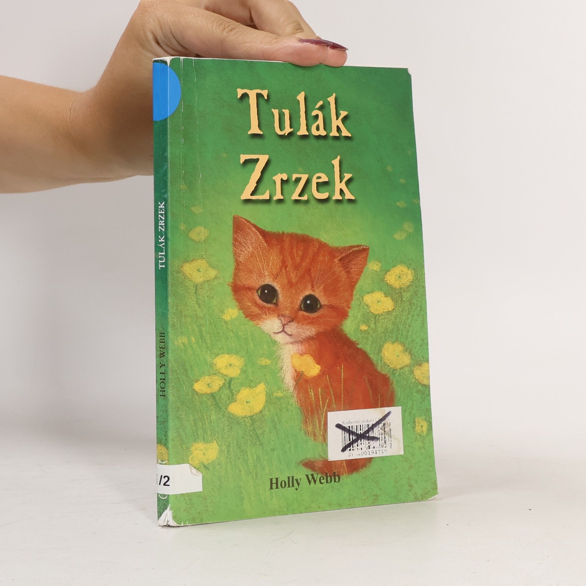 Holly Webb Tulák Zrzek