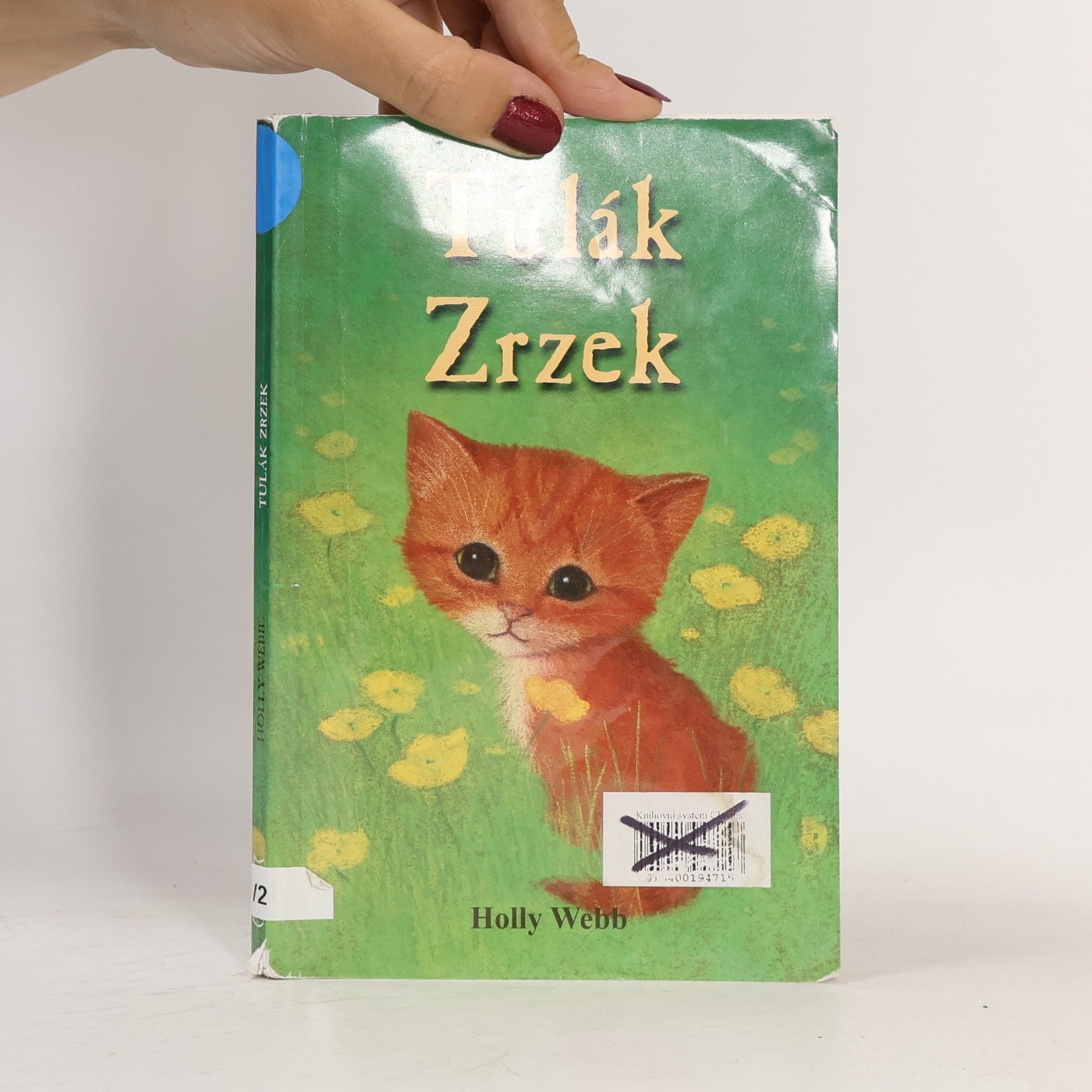 Holly Webb Tulák Zrzek