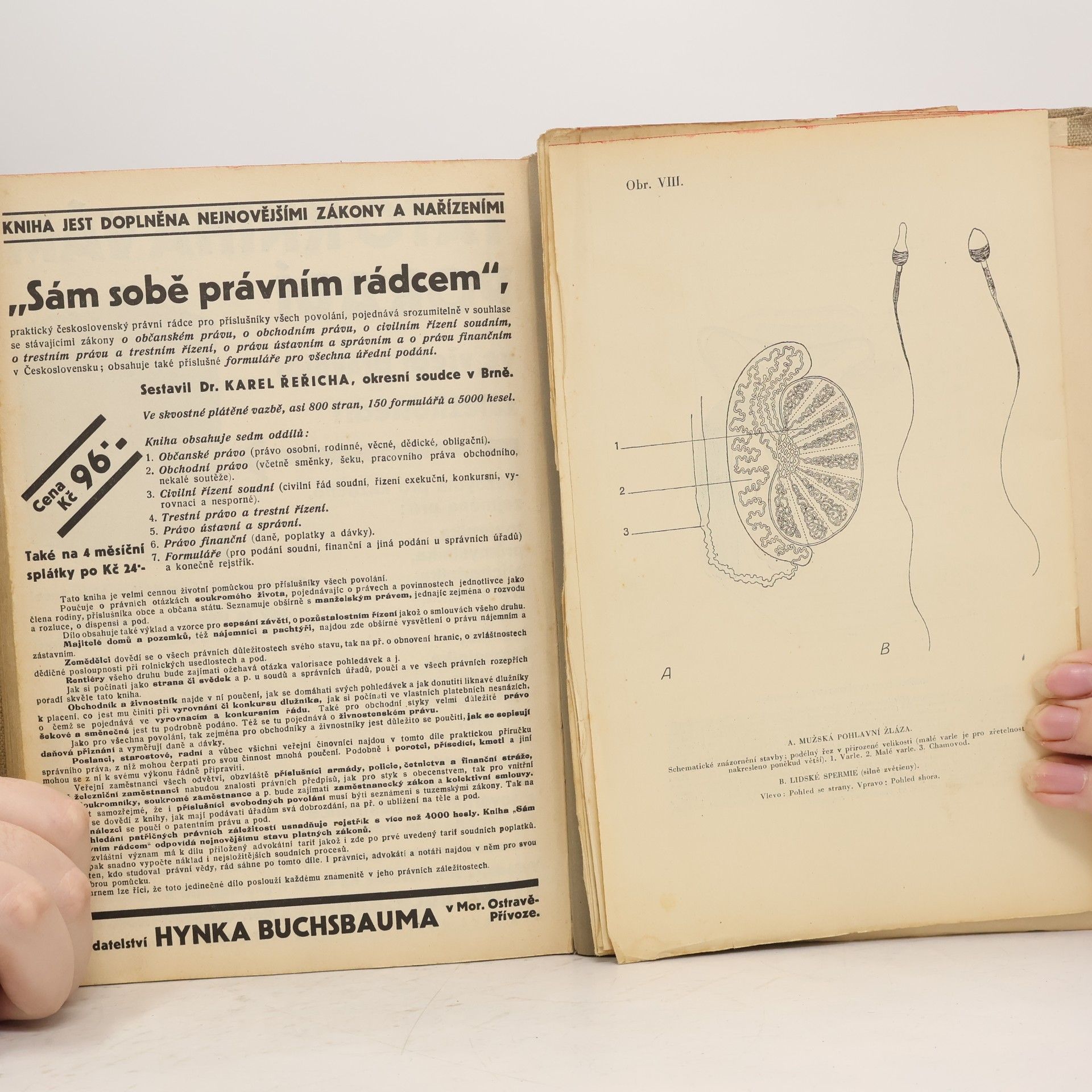 Theodor Hendrik van de Velde Dokonalé manželství. Studie o jeho fysiologii a technice
