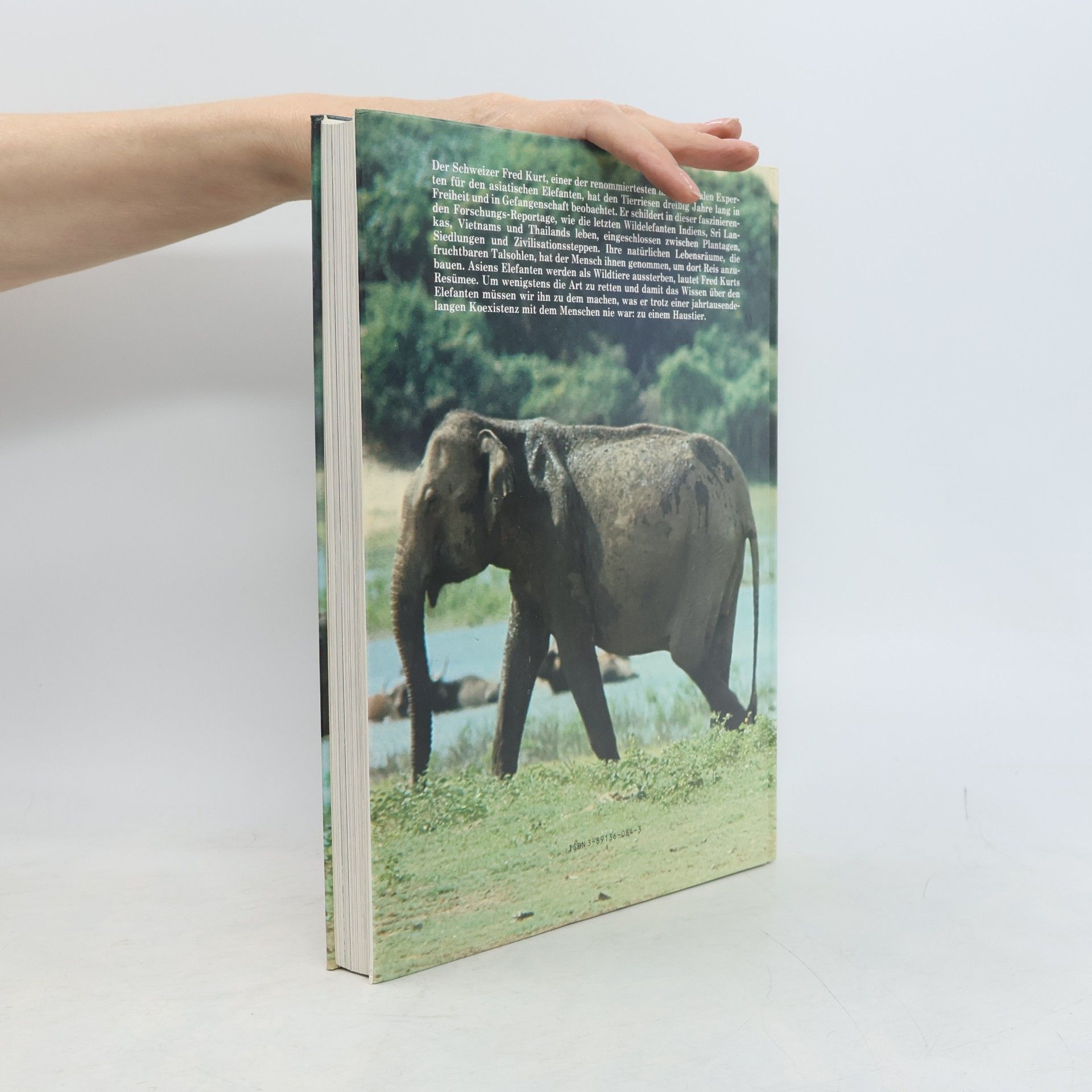 Fred Kurt Das Elefantenbuch