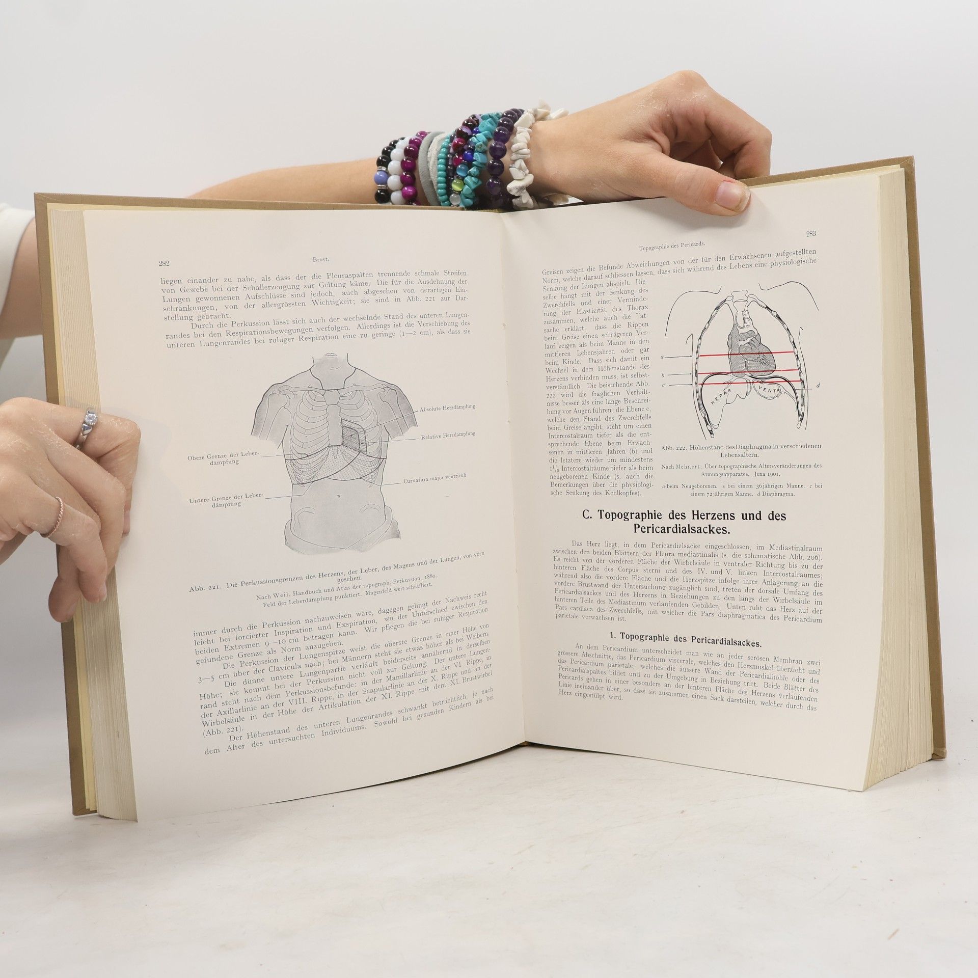 Autorenkollektiv Lehrbuch der Topographischen Anatomie