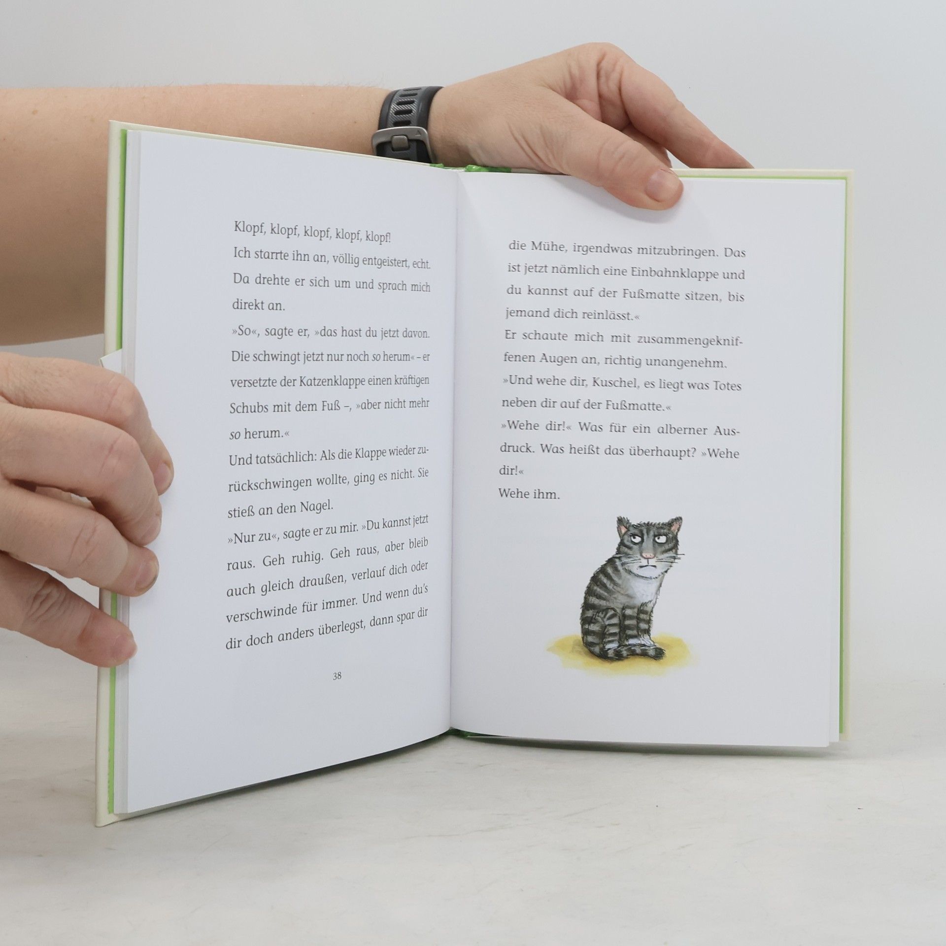 Anne Fine Tagebuch einer Killerkatze