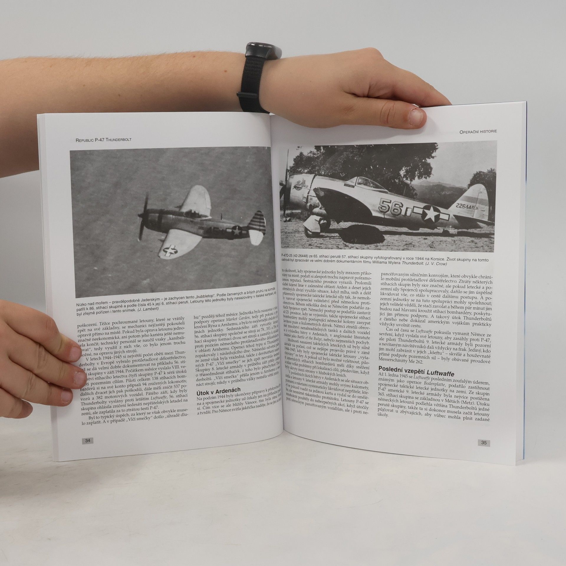 Jerry Scutts Bojové legendy P-47 Thunderbolt