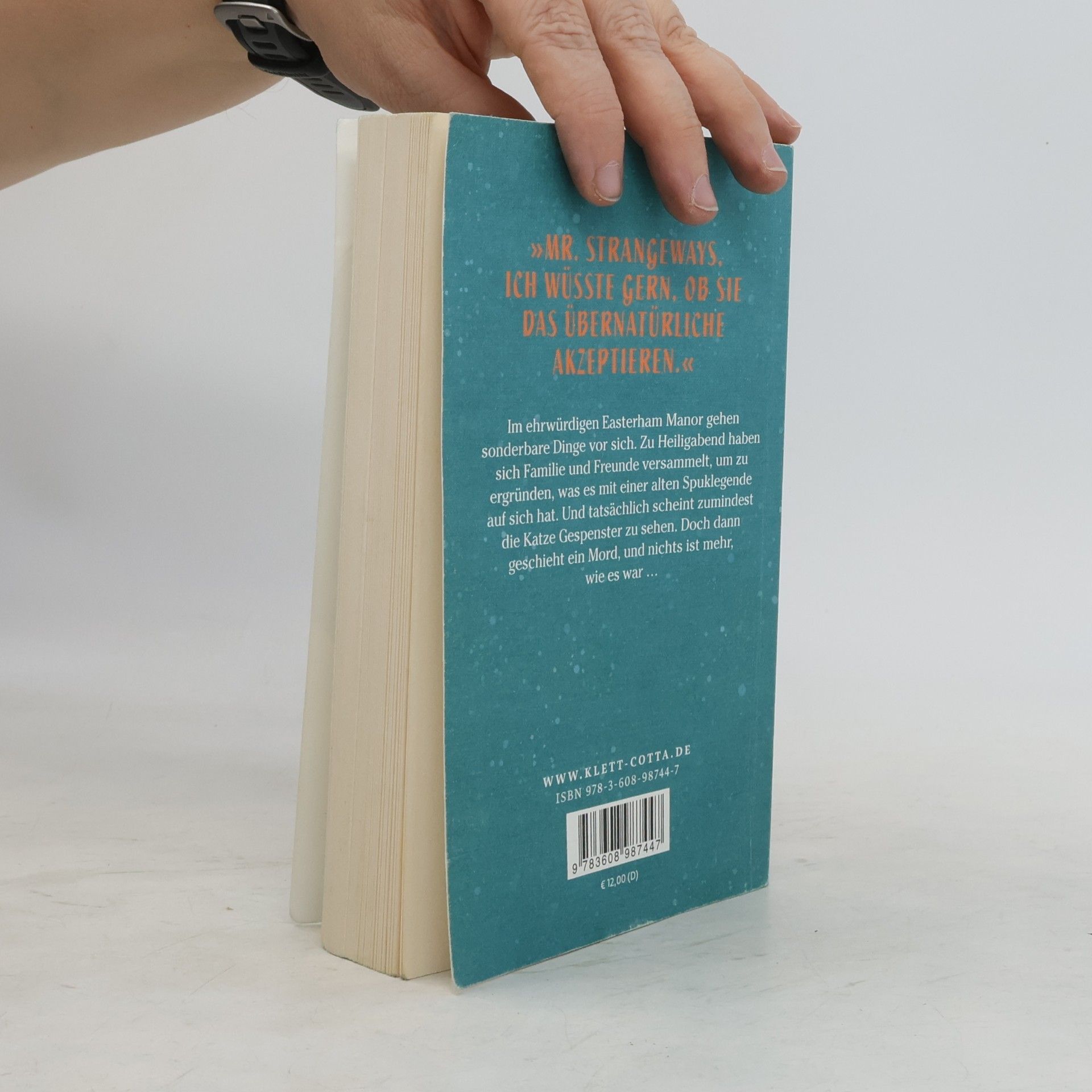 Nicholas Blake Das Geheimnis des Schneemanns
