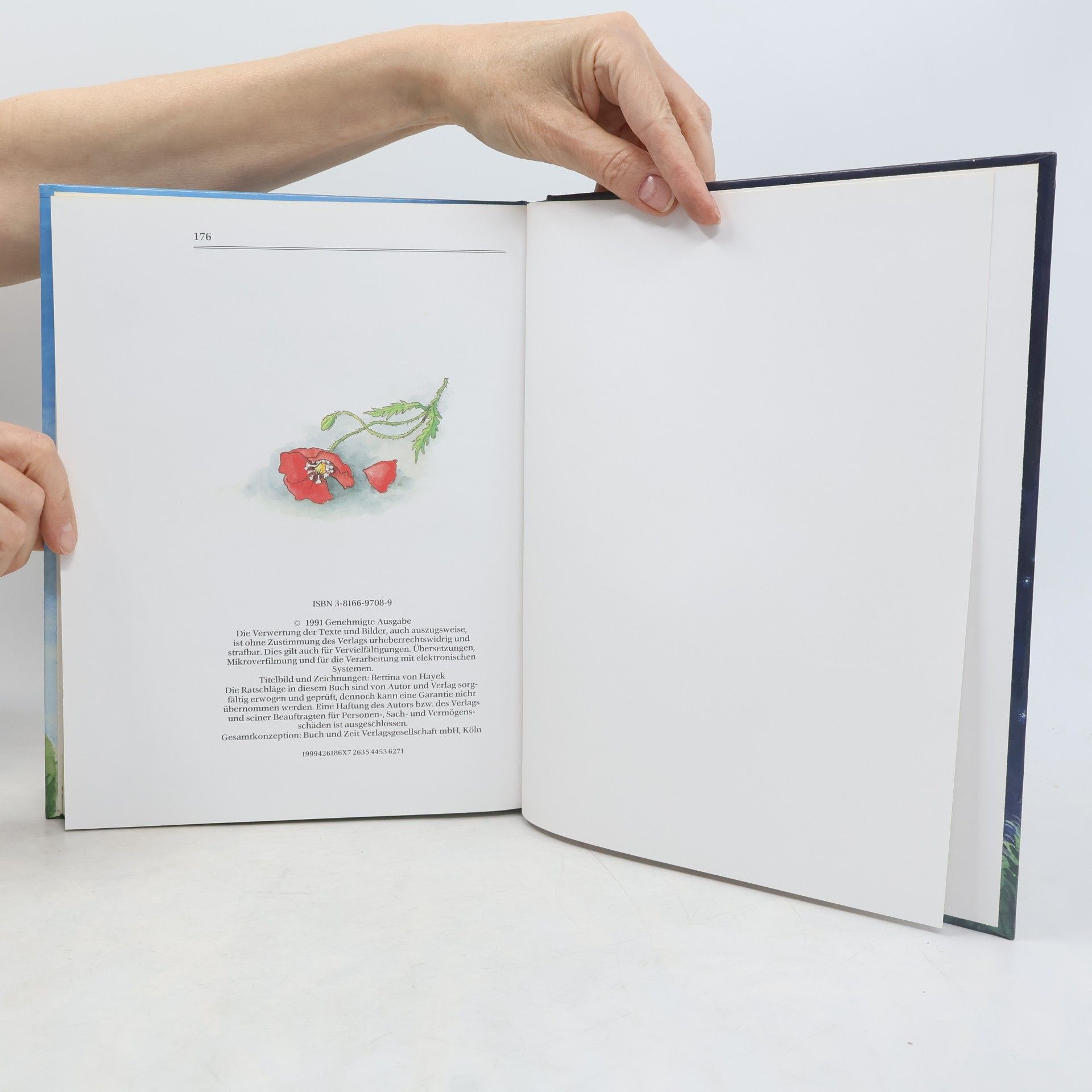 Kolektív autorov Das große Buch der Kinder- und Volkslieder