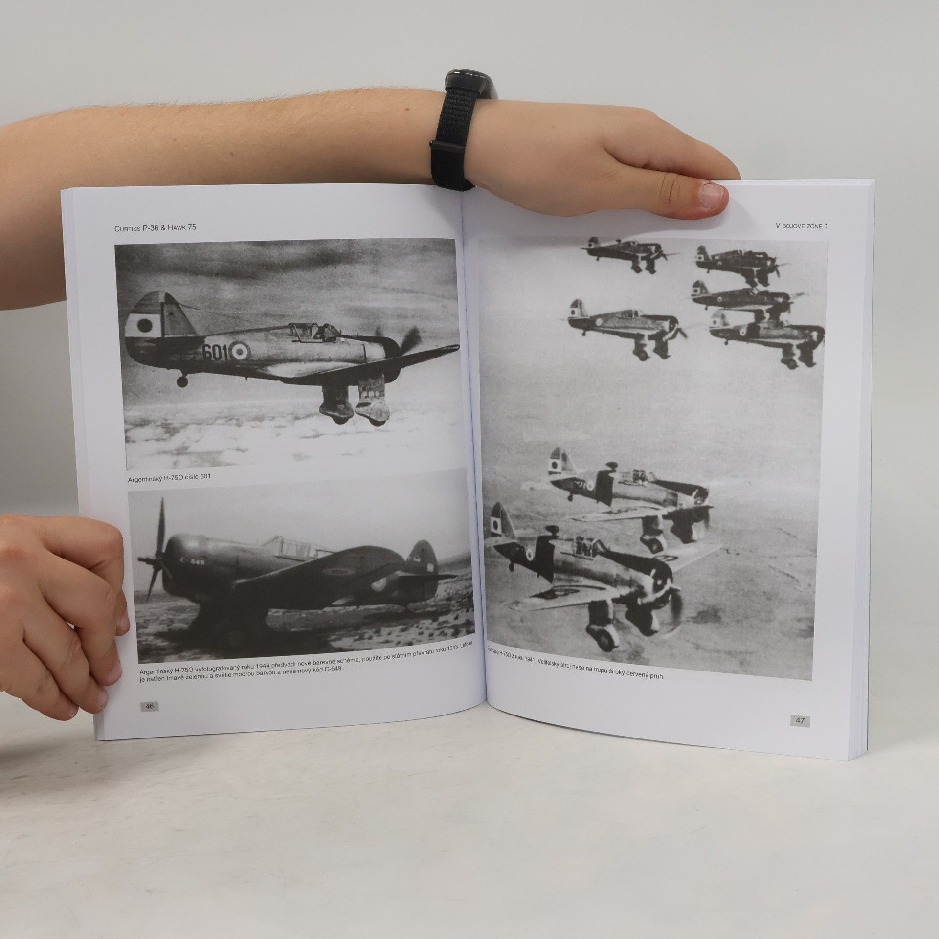 Jiří Chodil Curtiss P-36 & Hawk 75