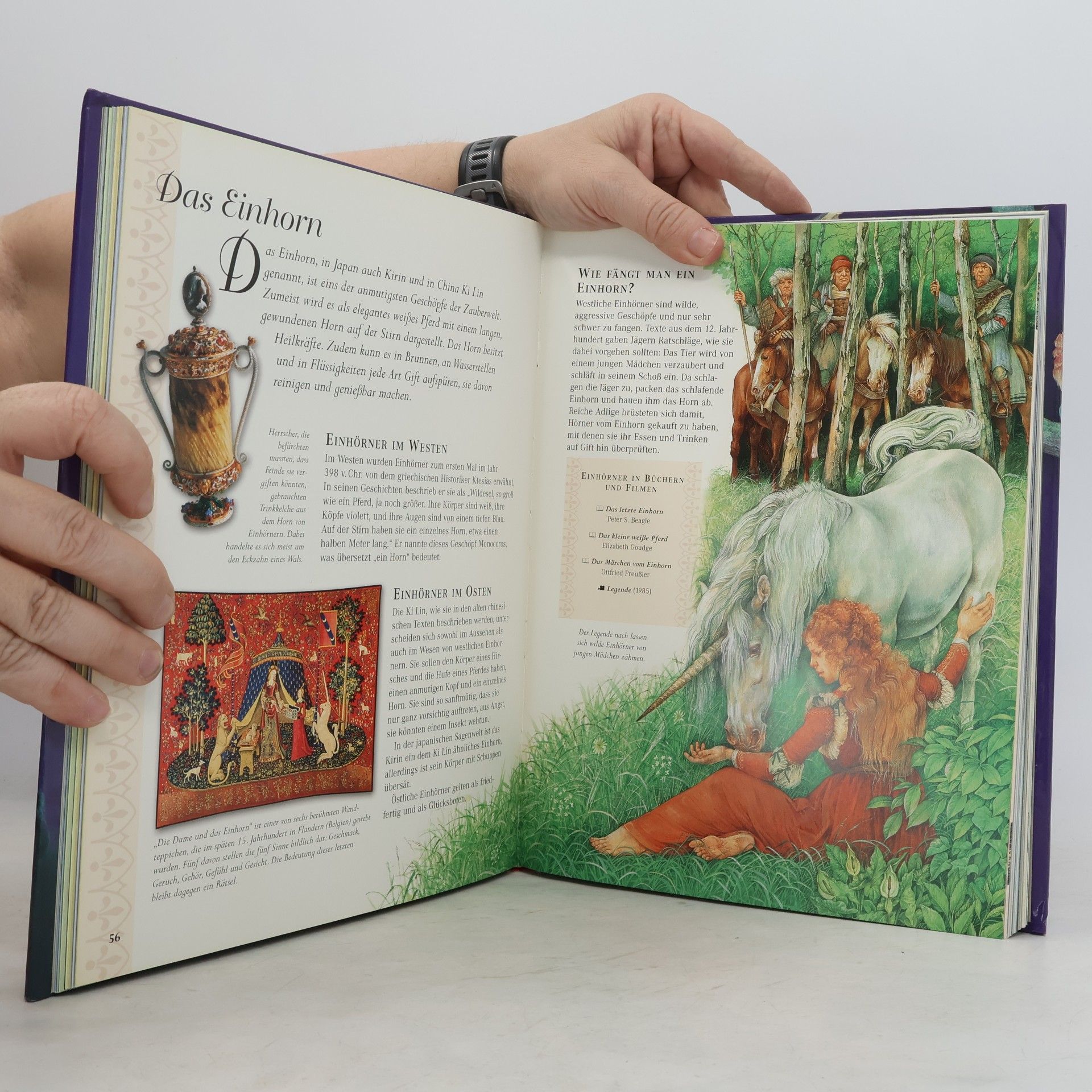 Judy Allen Tessloffs Enzyklopädie Fantasy
