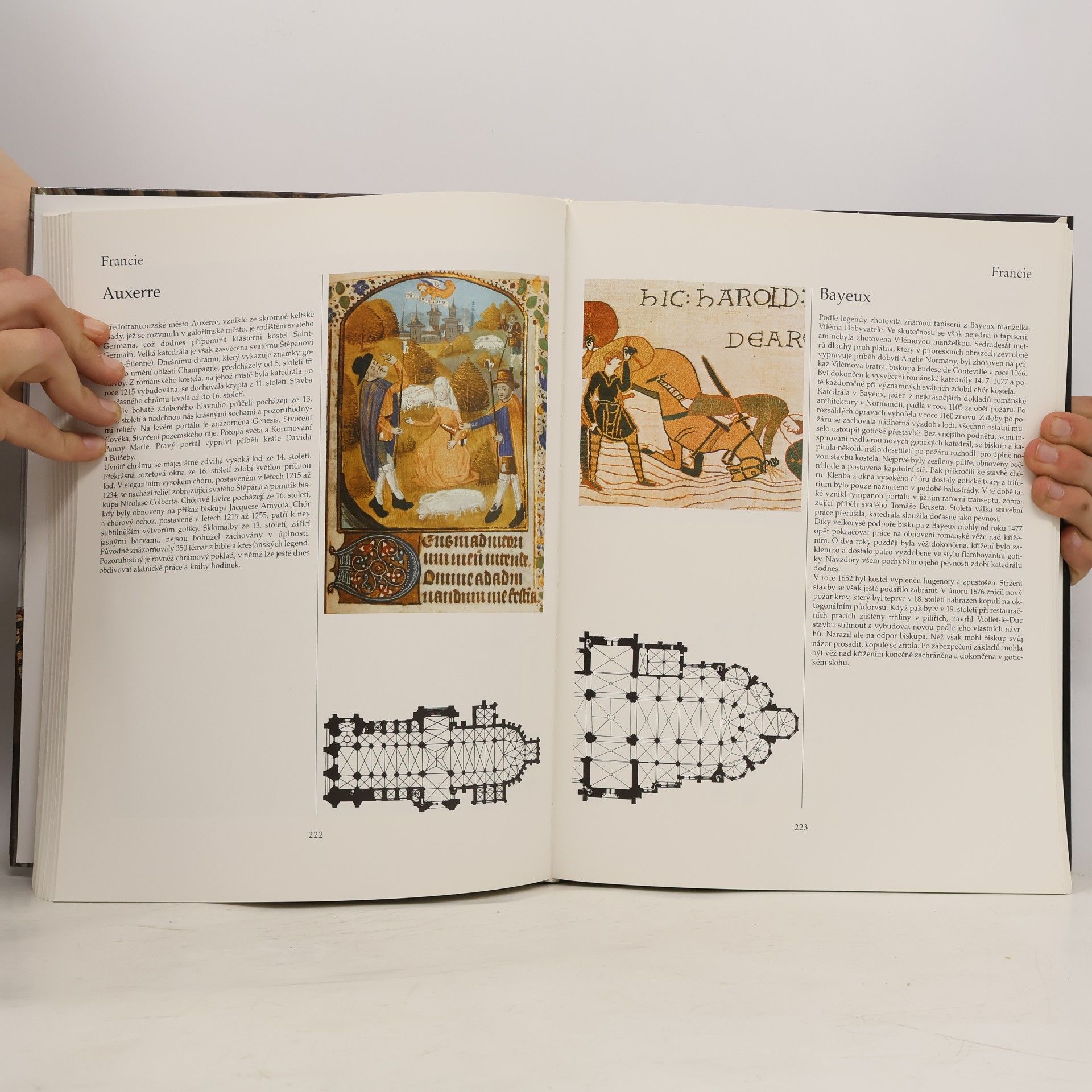 Autorenkollektiv Skvosty Evropy: Katedrály - kláštery - poutní místa