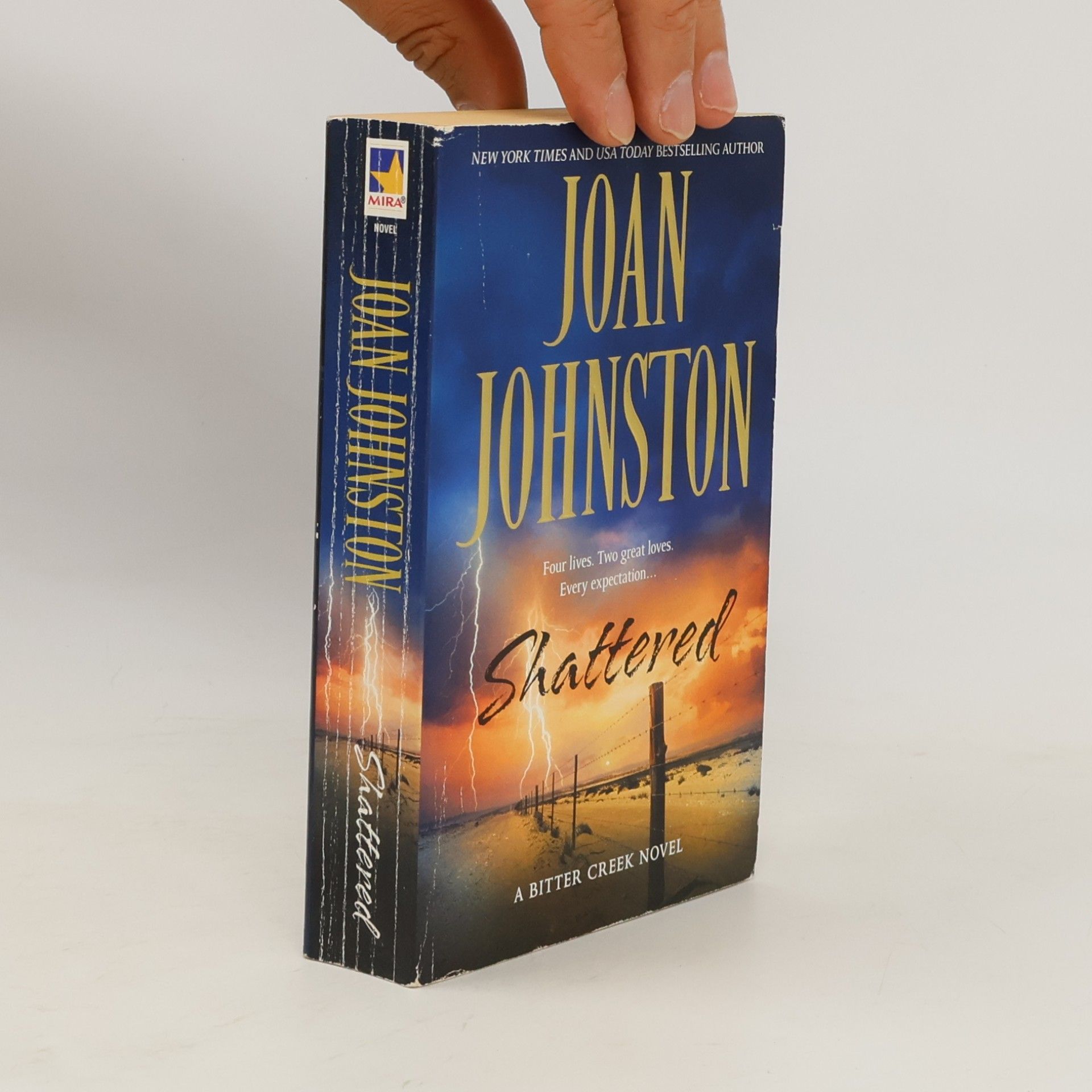 Joan Johnston Bitter Creek Novel - 8: Shattered
