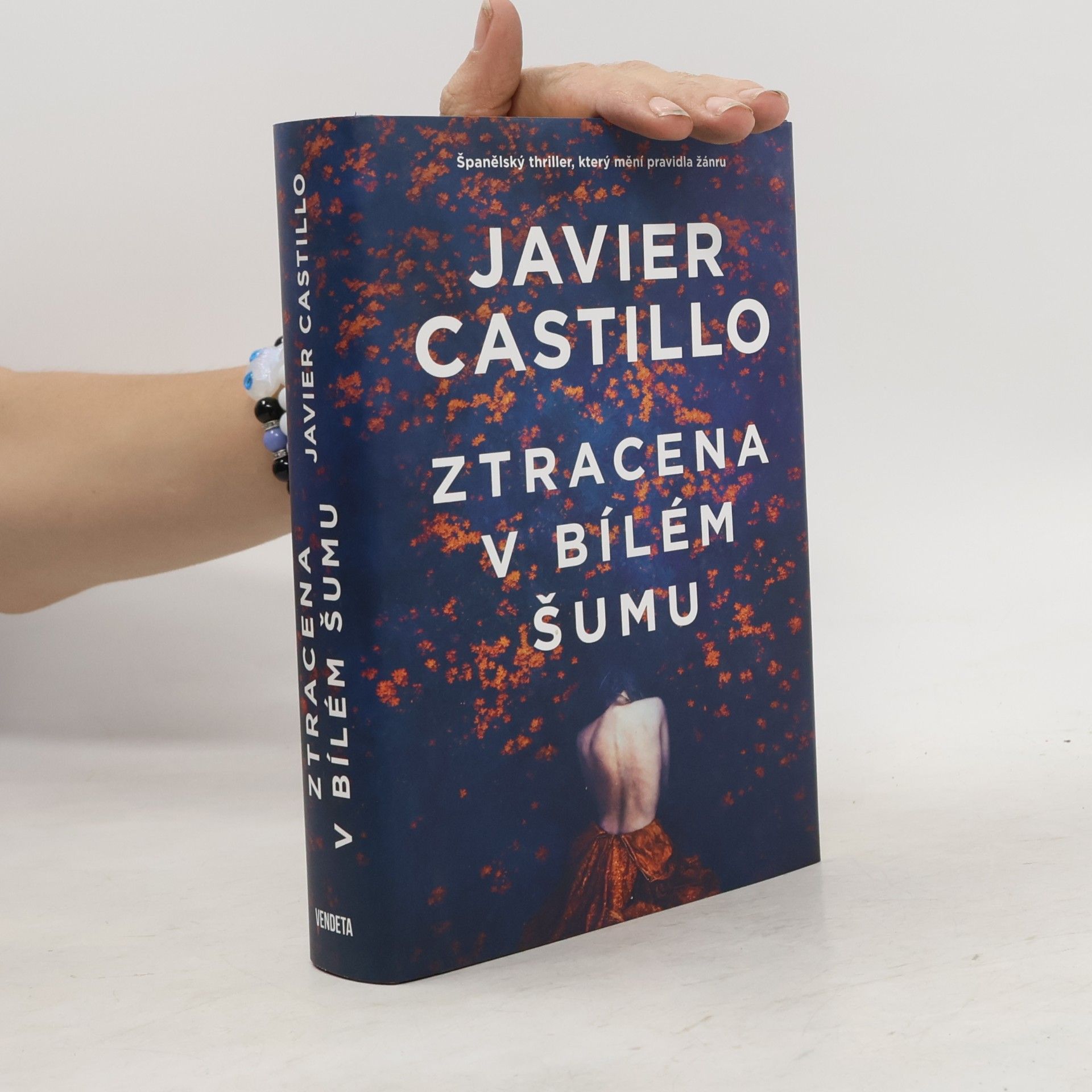 Javier Castillo Ztracena v bílém šumu