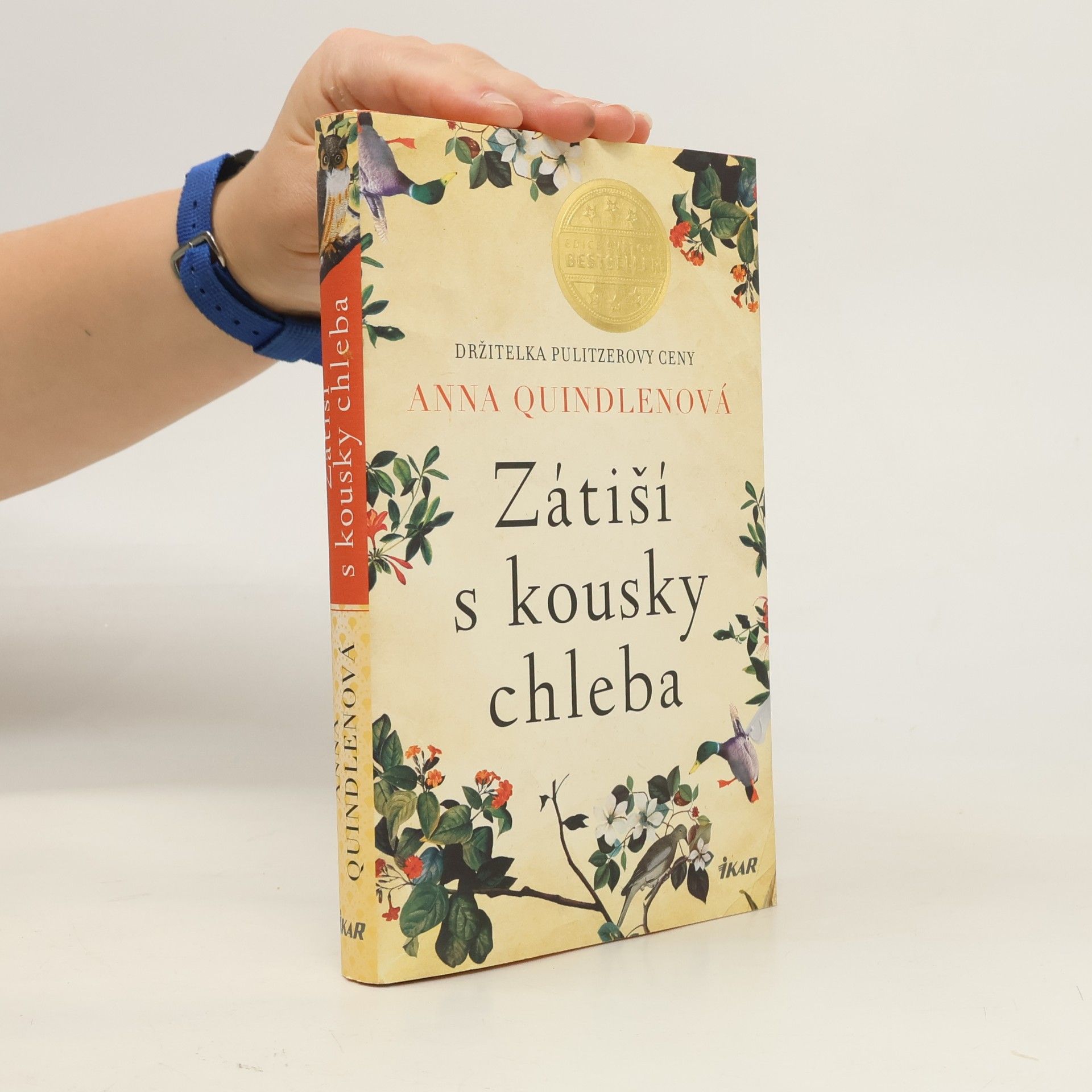 Anna Quindlen Zátiší s kousky chleba