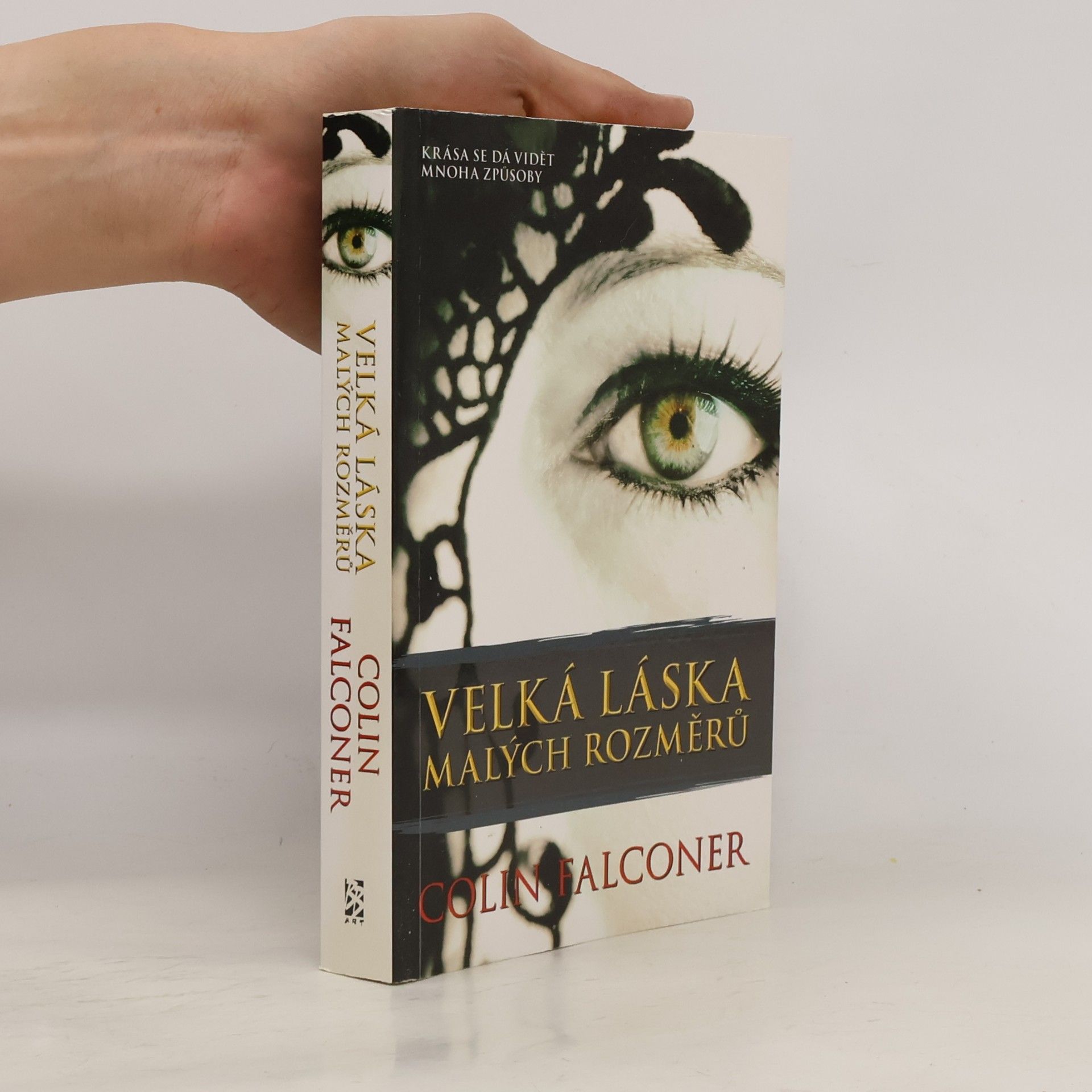 Colin Falconer Velká láska malých rozměrů