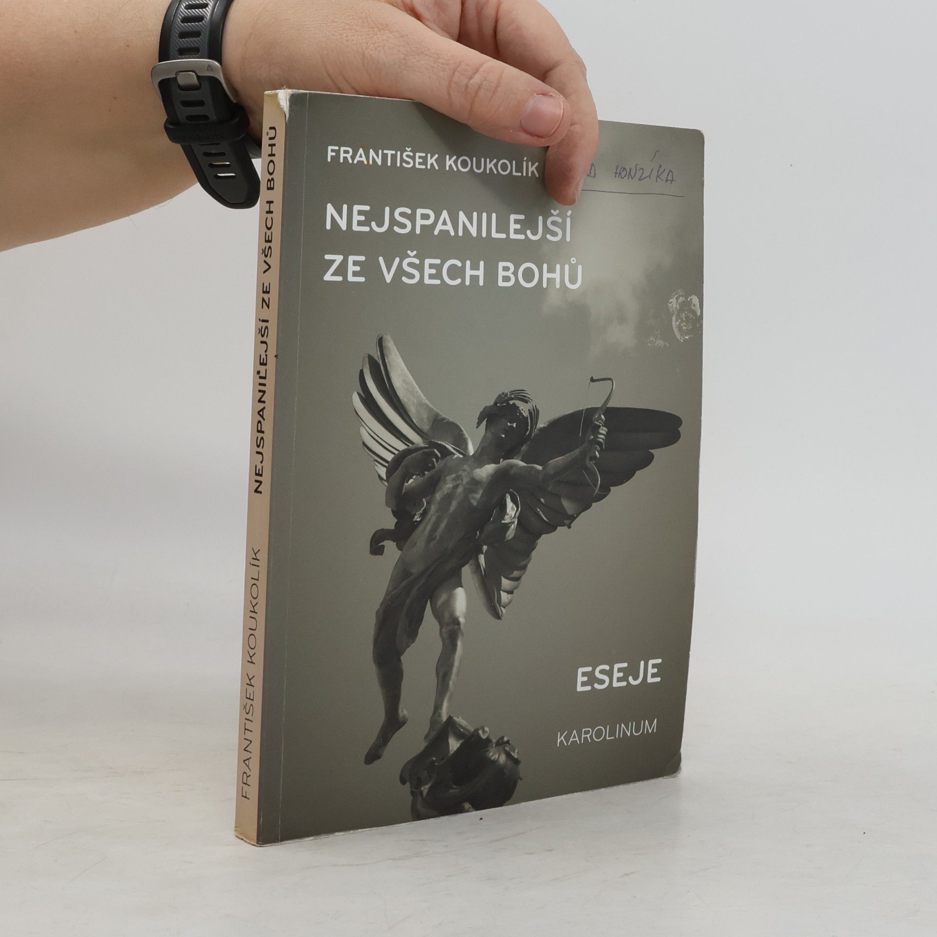 František Koukolík Nejspanilejší ze všech bohů : eseje