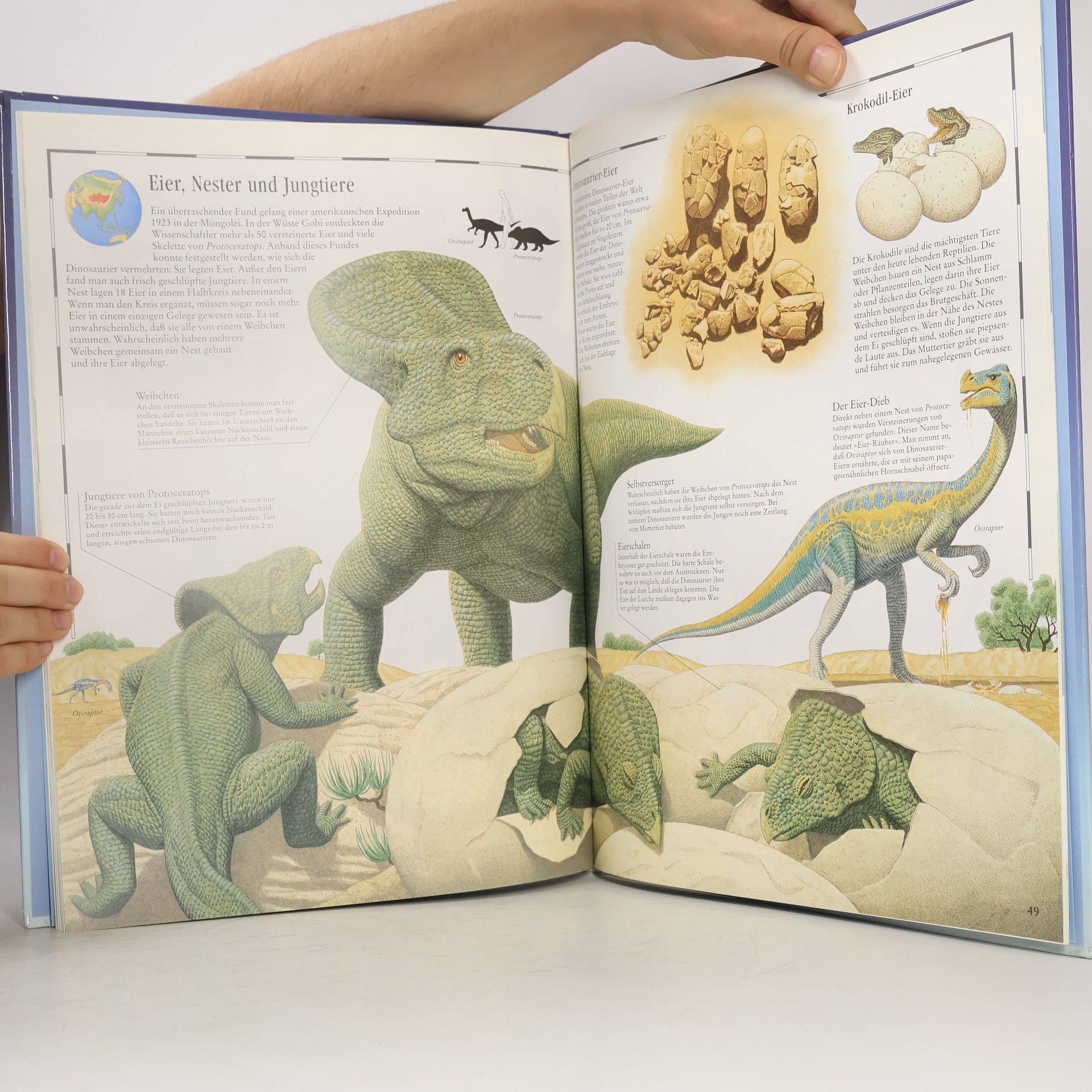 William Lindsay Bildatlas der Dinosaurier
